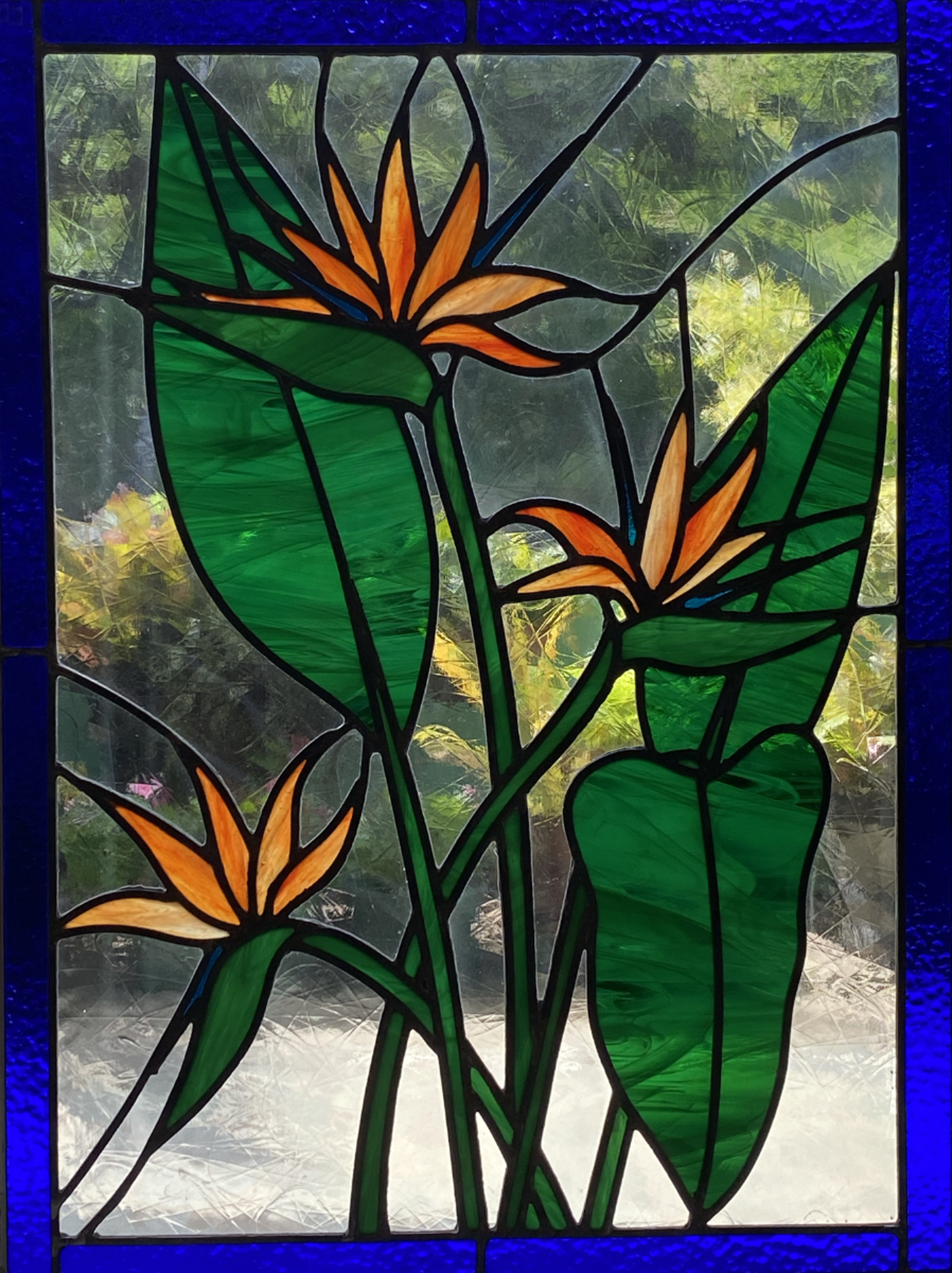 Bird of Paradise Stained Glass Panel by Joe Dwight