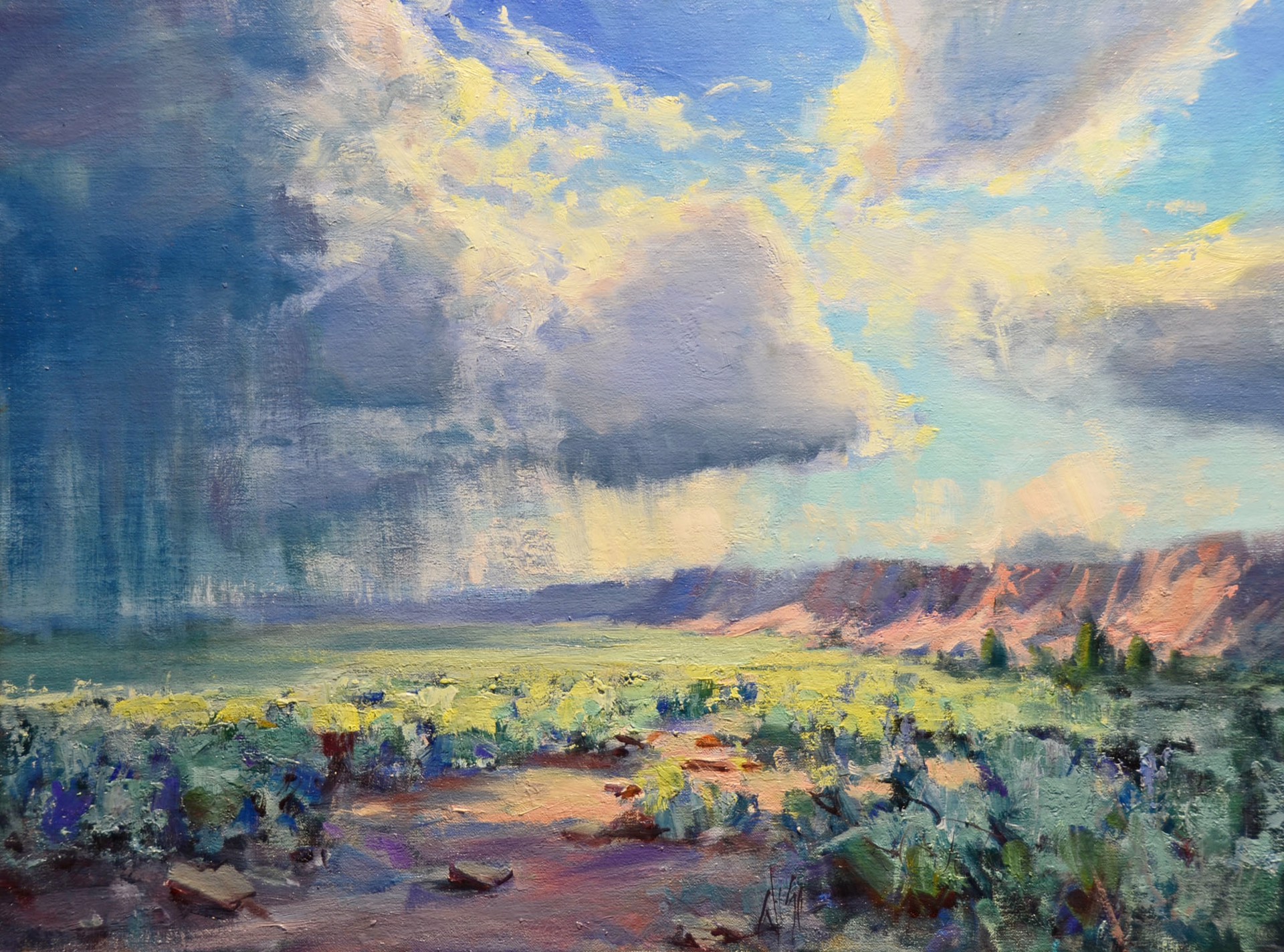 High Desert Storm by Mike Wise