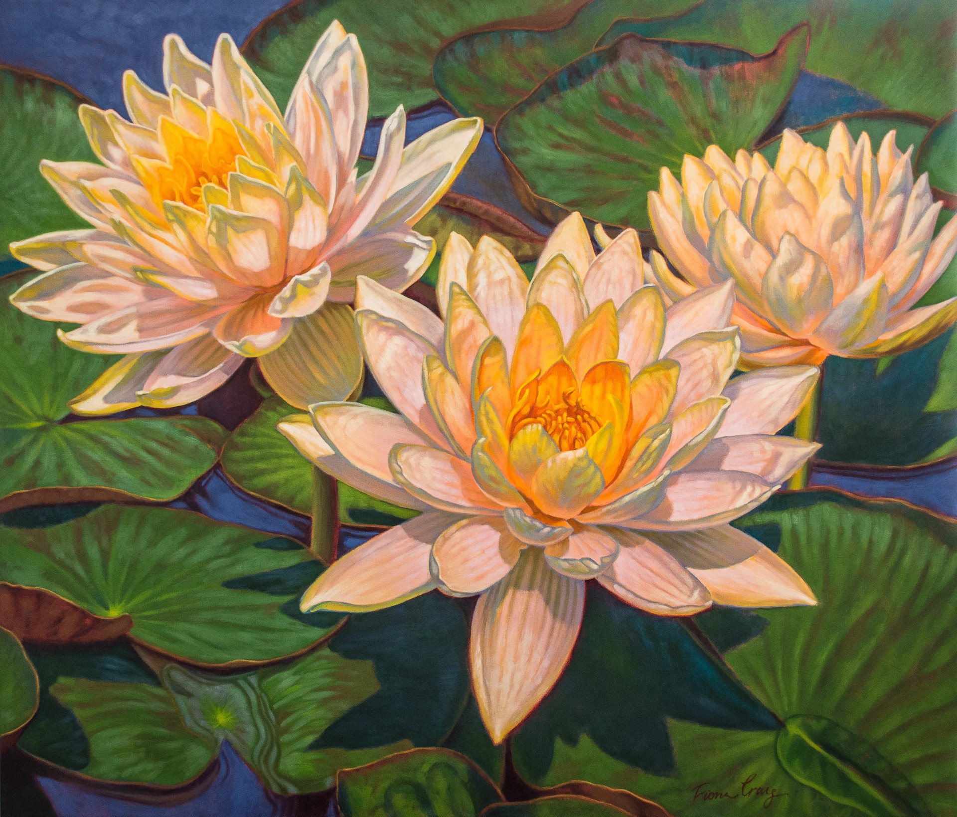 Water Lillies by Fiona Craig