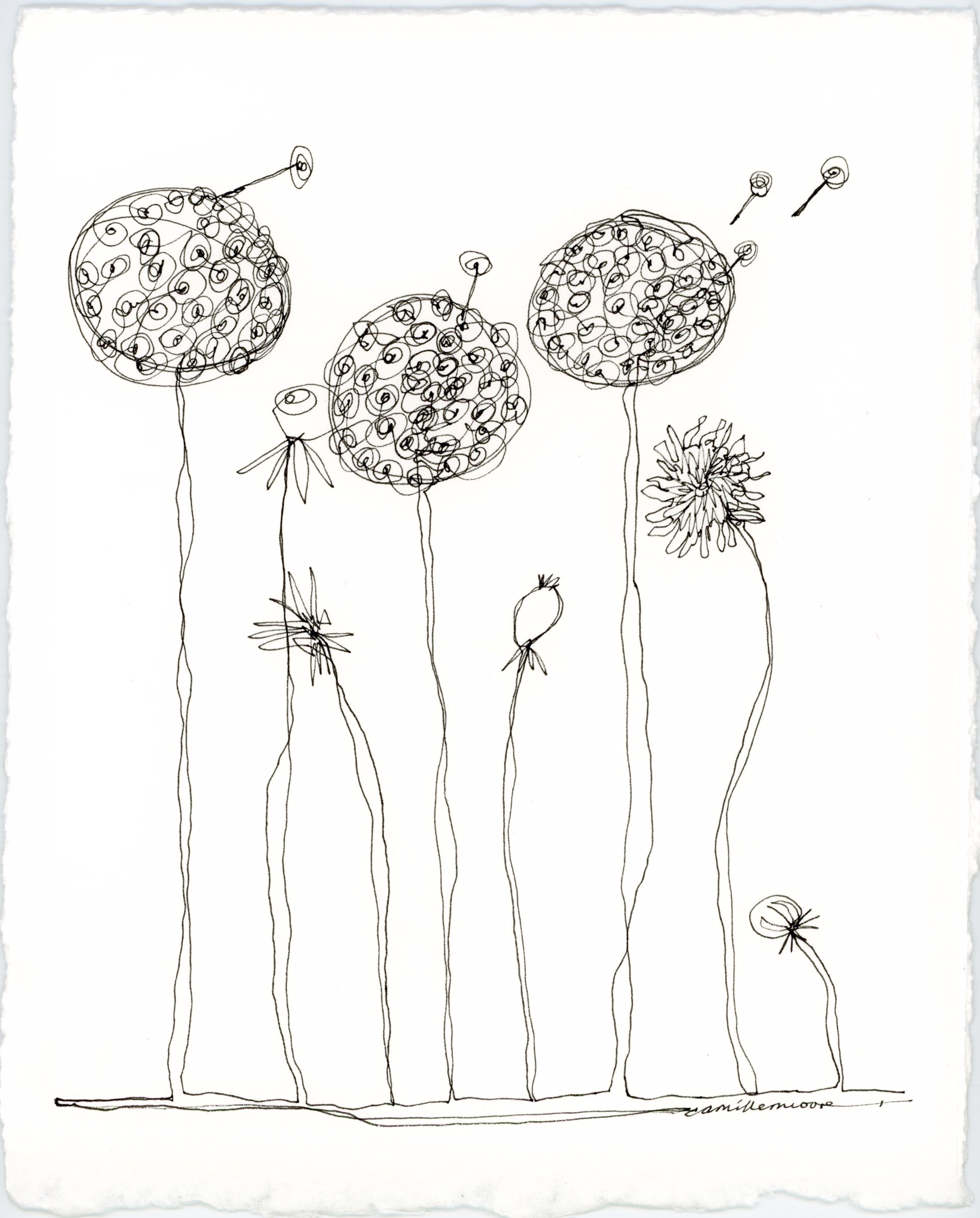 Dandelion by Camille Moore
