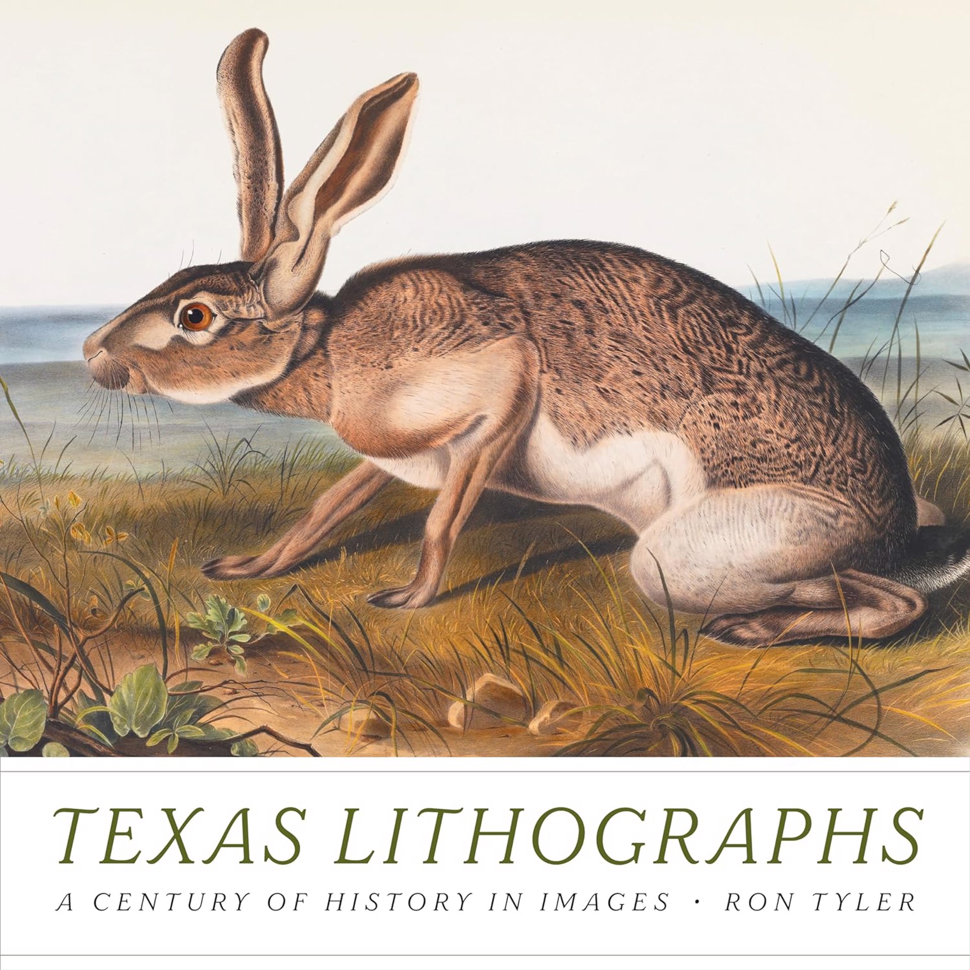 Texas Lithographs: A Century of History in Images, Ron Tyler by Publications