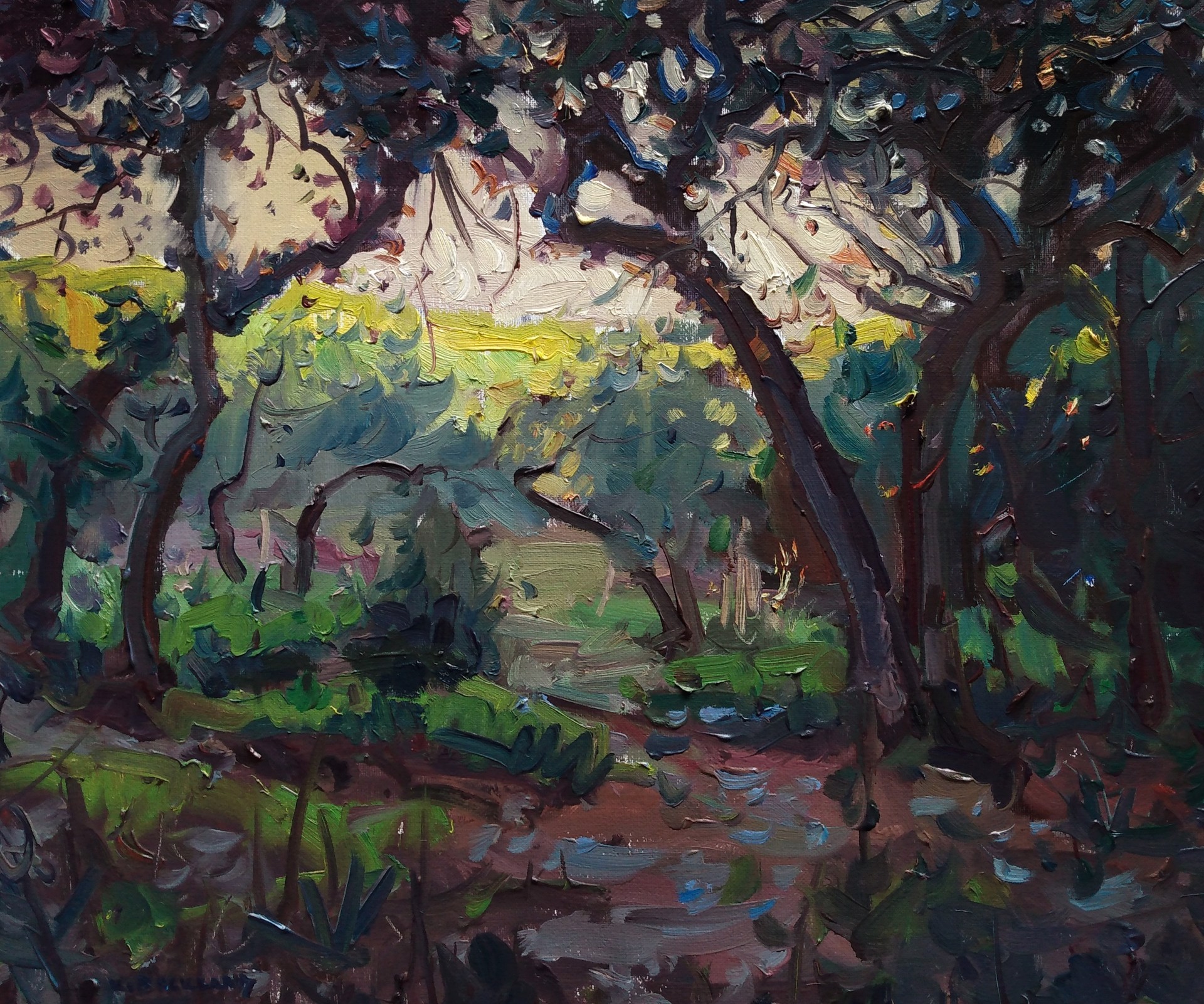 "The Edge of the Grove" original oil by Kyle Buckland