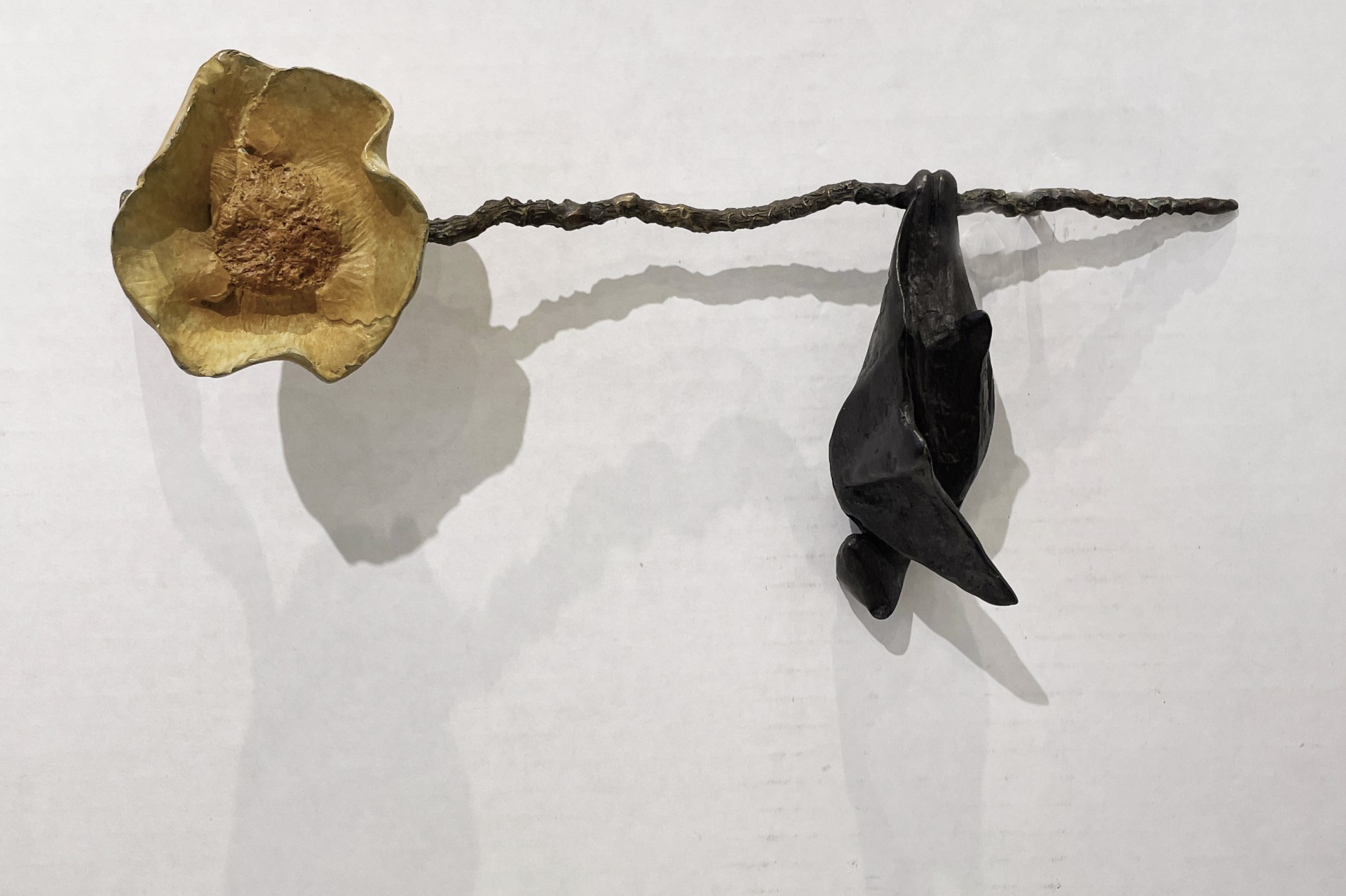 Temple Bat on a Coconut Branch, tucked wing by Copper Tritscheller