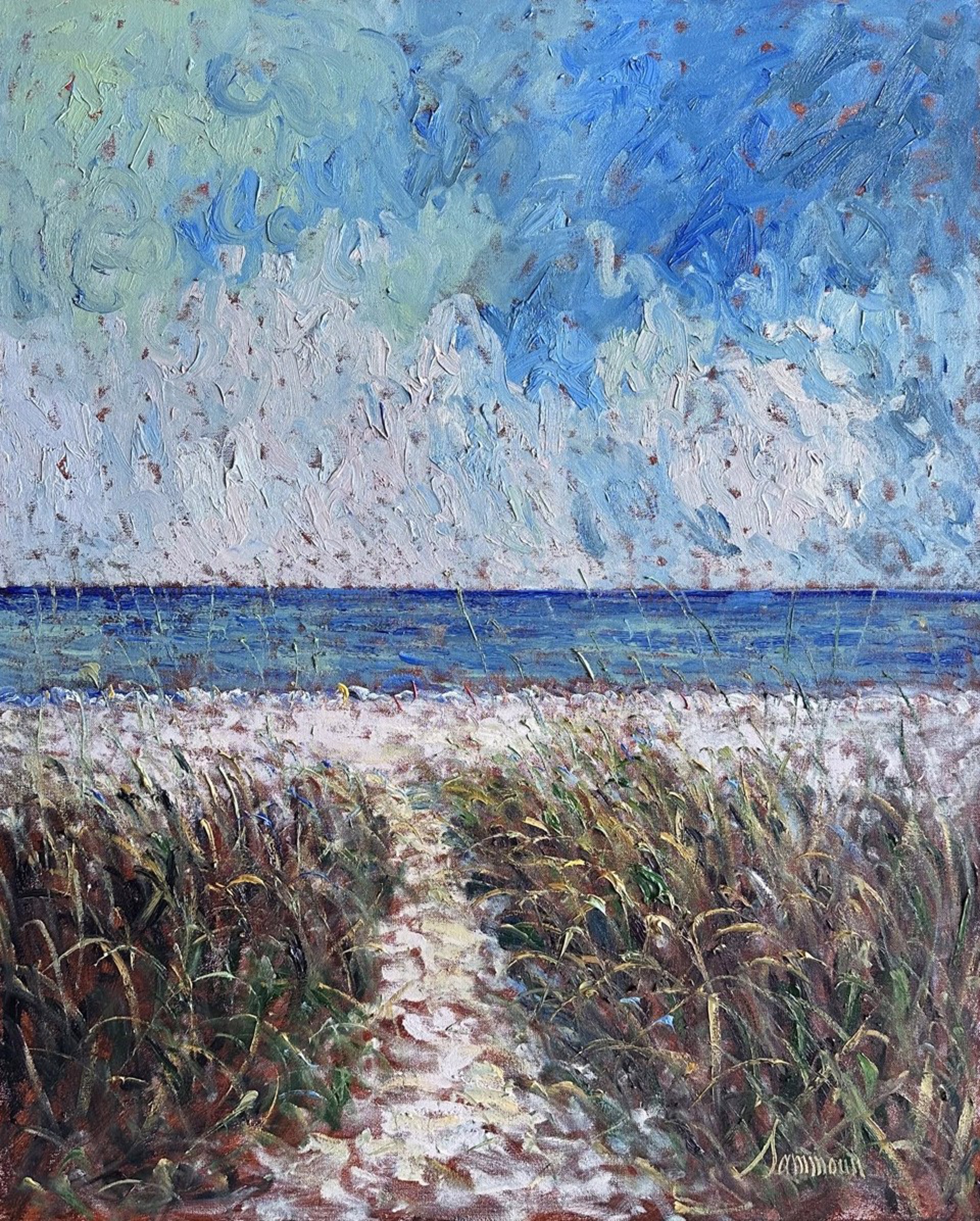 Path to the Beach, Florida by Samir Sammoun