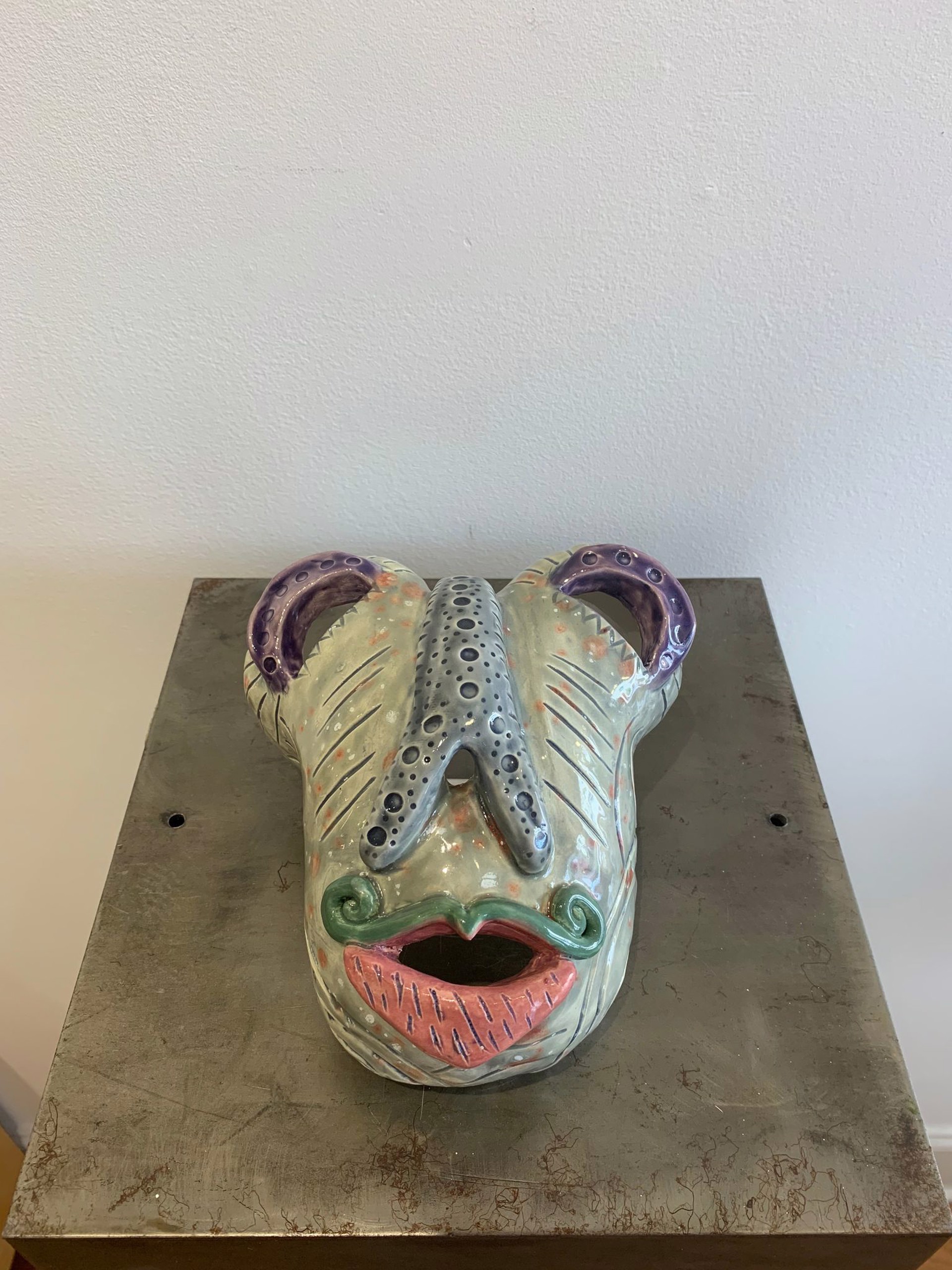 Frog Face by Renato Abbate and Anne McCombie