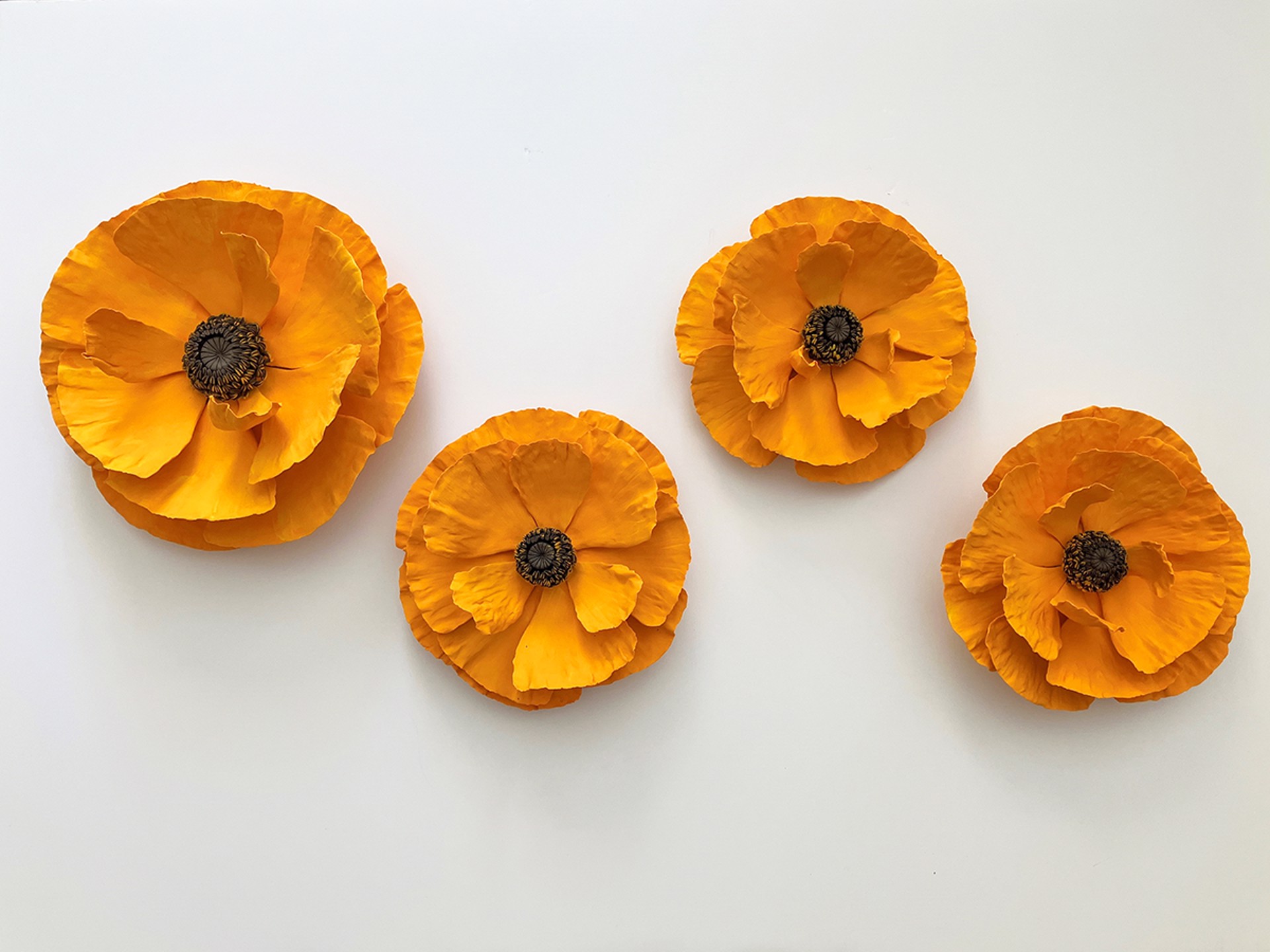 Orange Poppies by Owen Mann