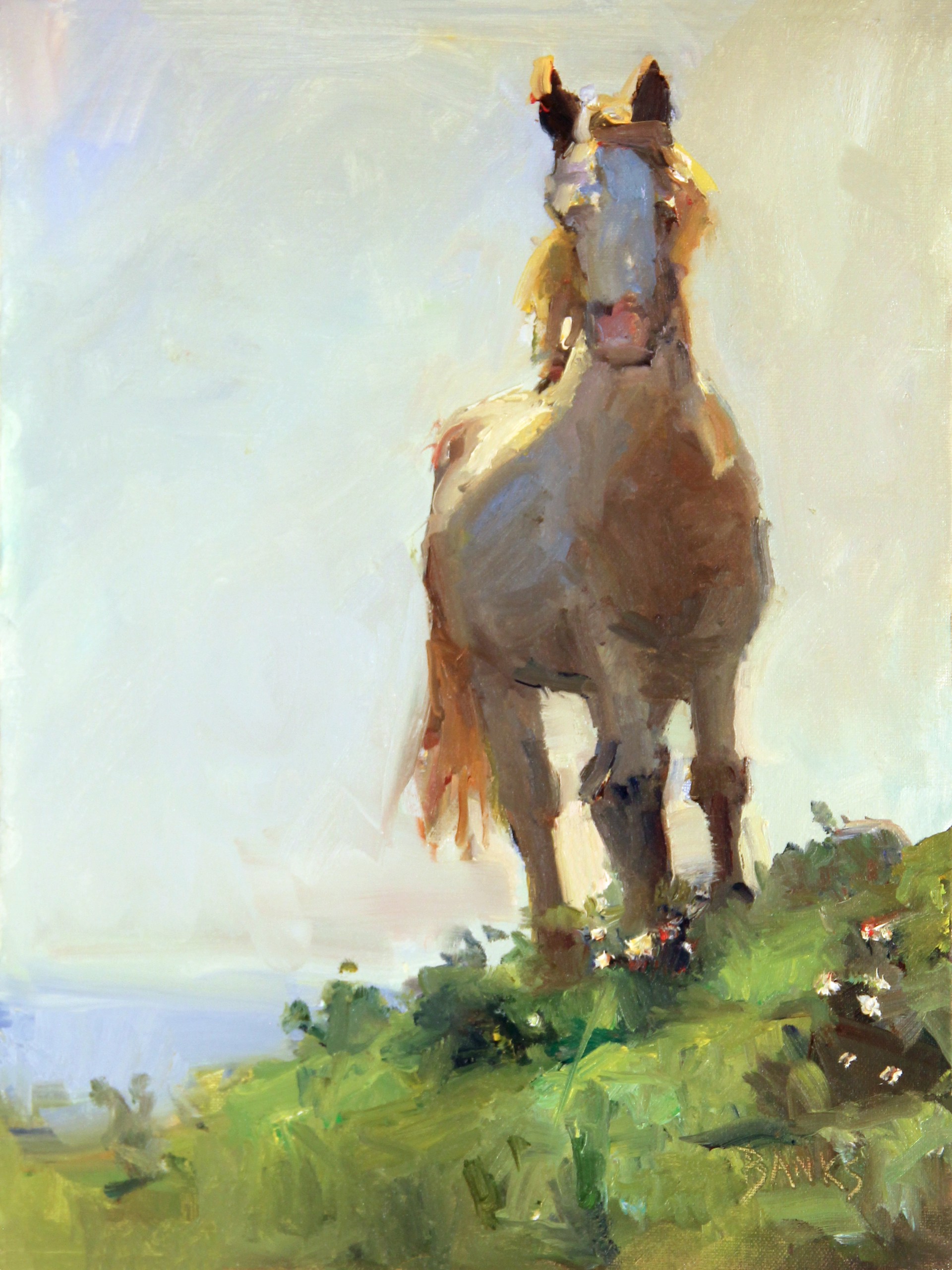 Horse on a Hill by Jill Banks