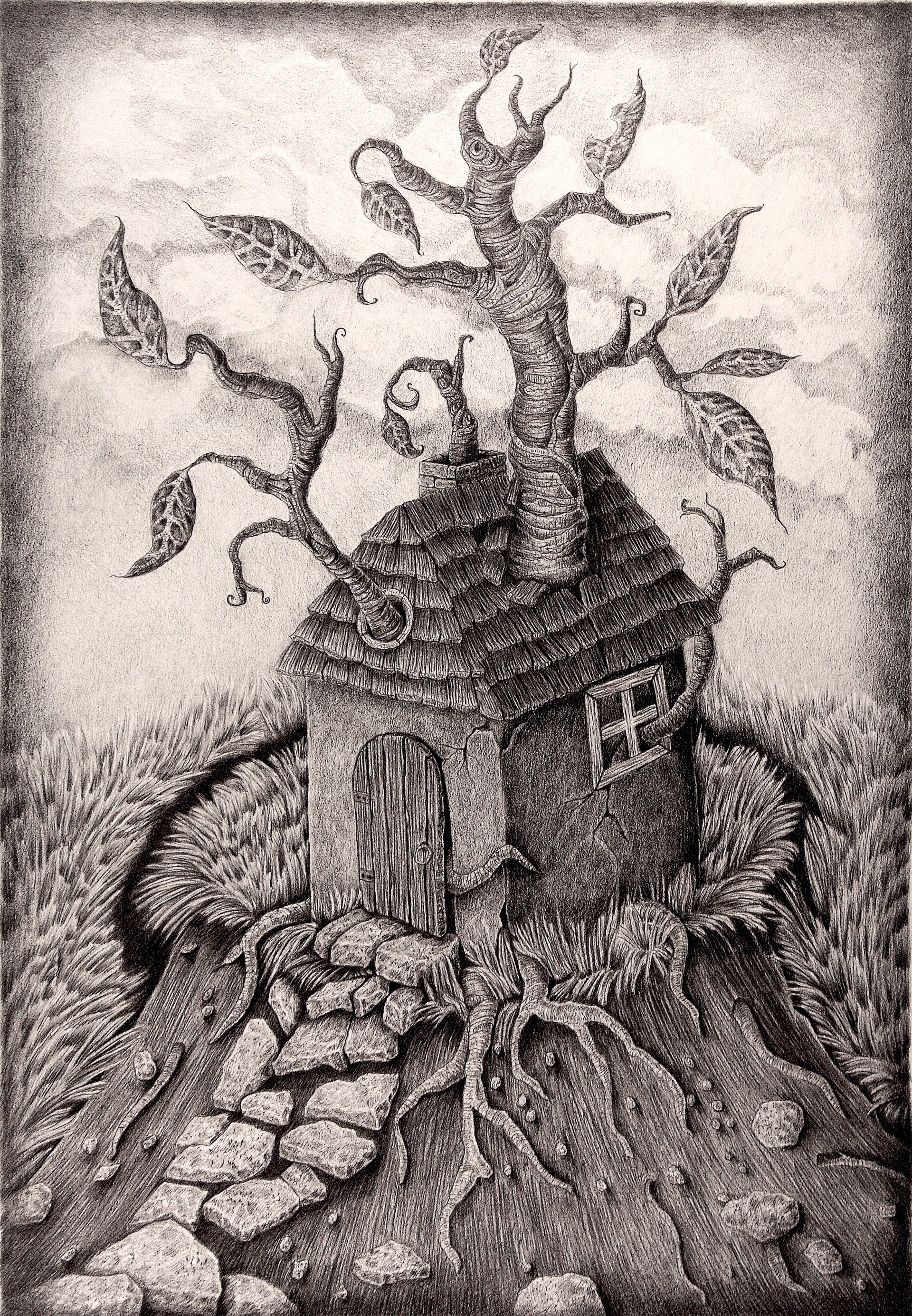 The Sprouted House by Kathleen Powers