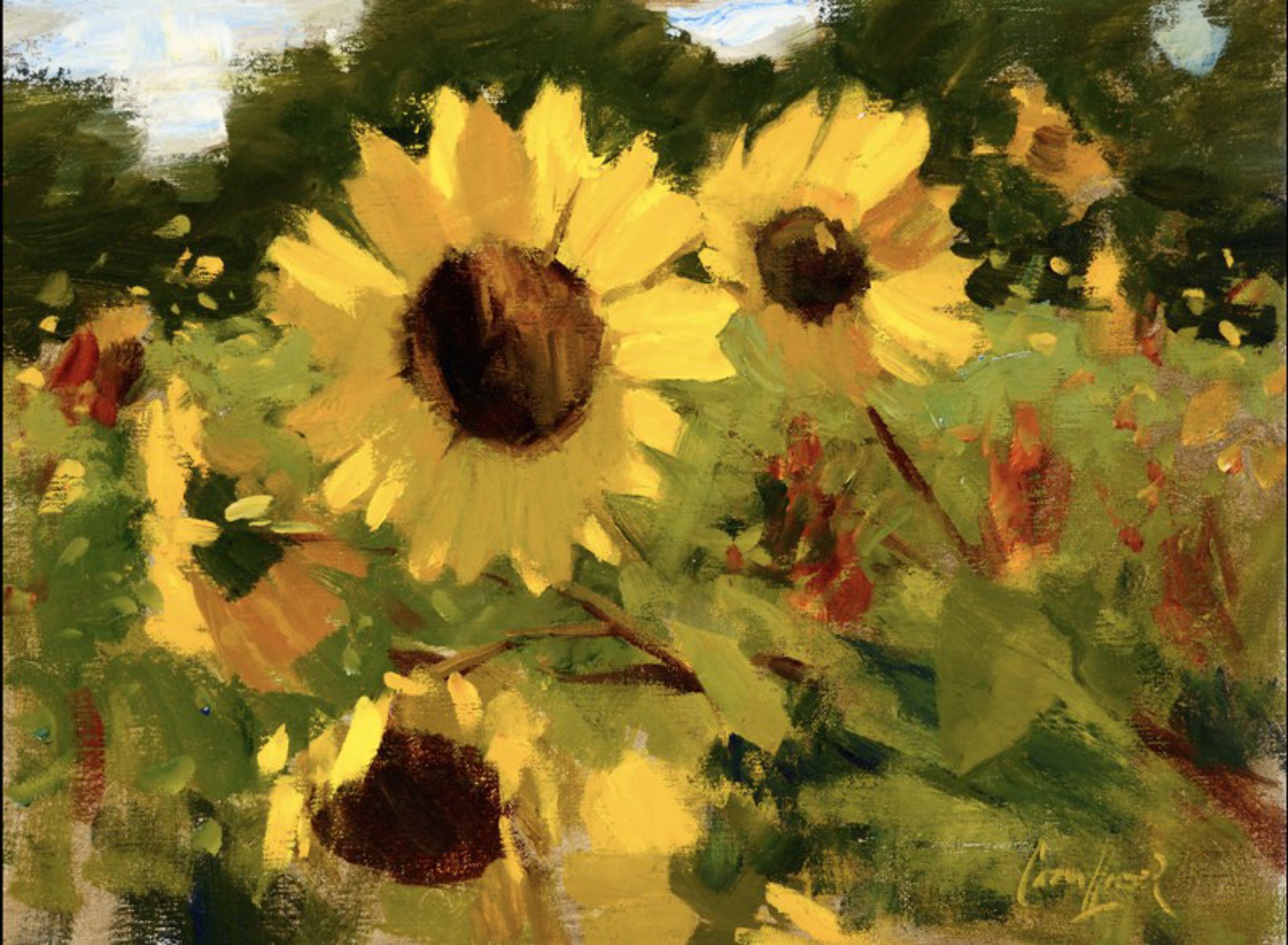 Sunflowers by Ken Cadwallader