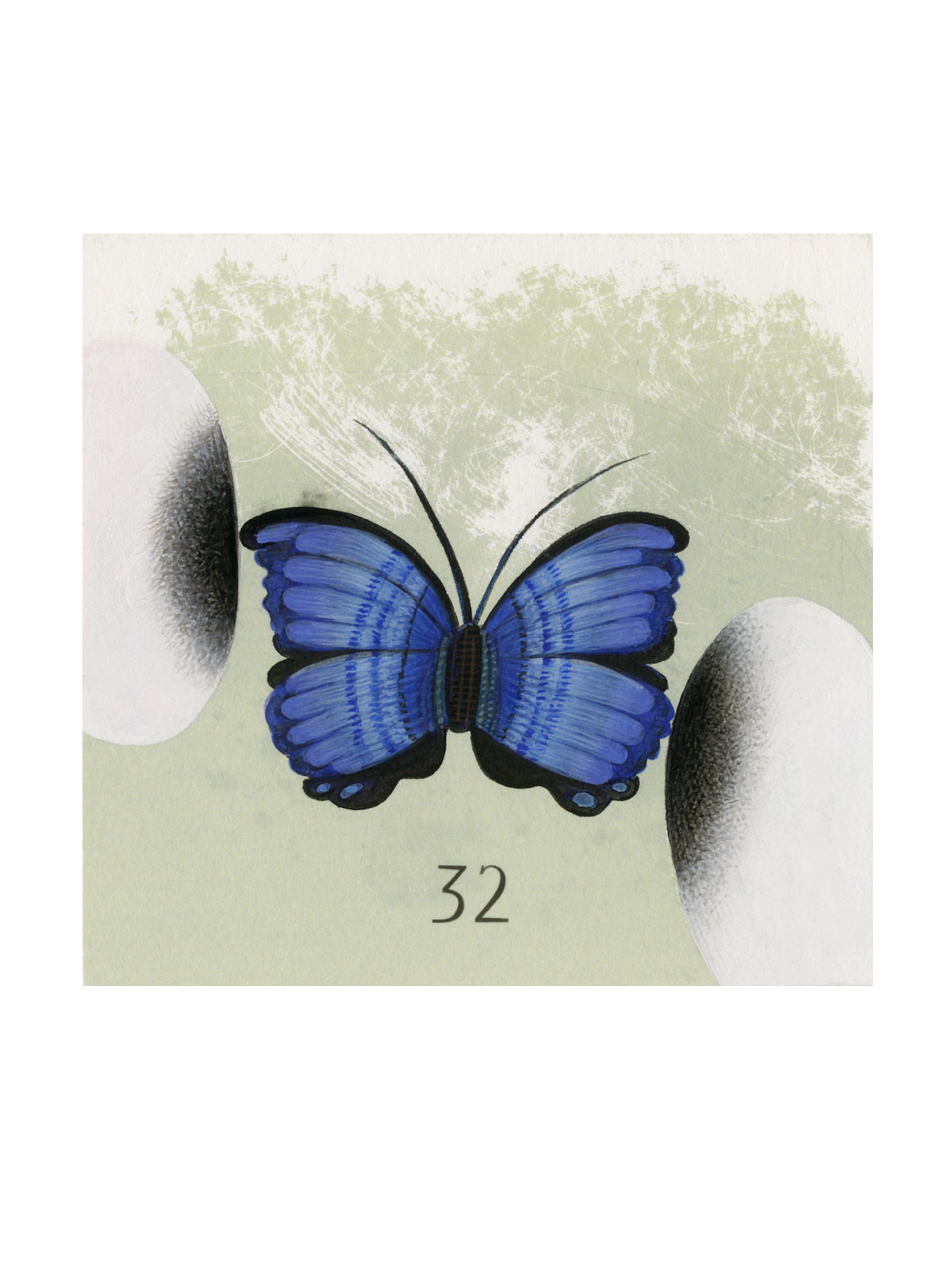 Small Morpho by Anne Smith