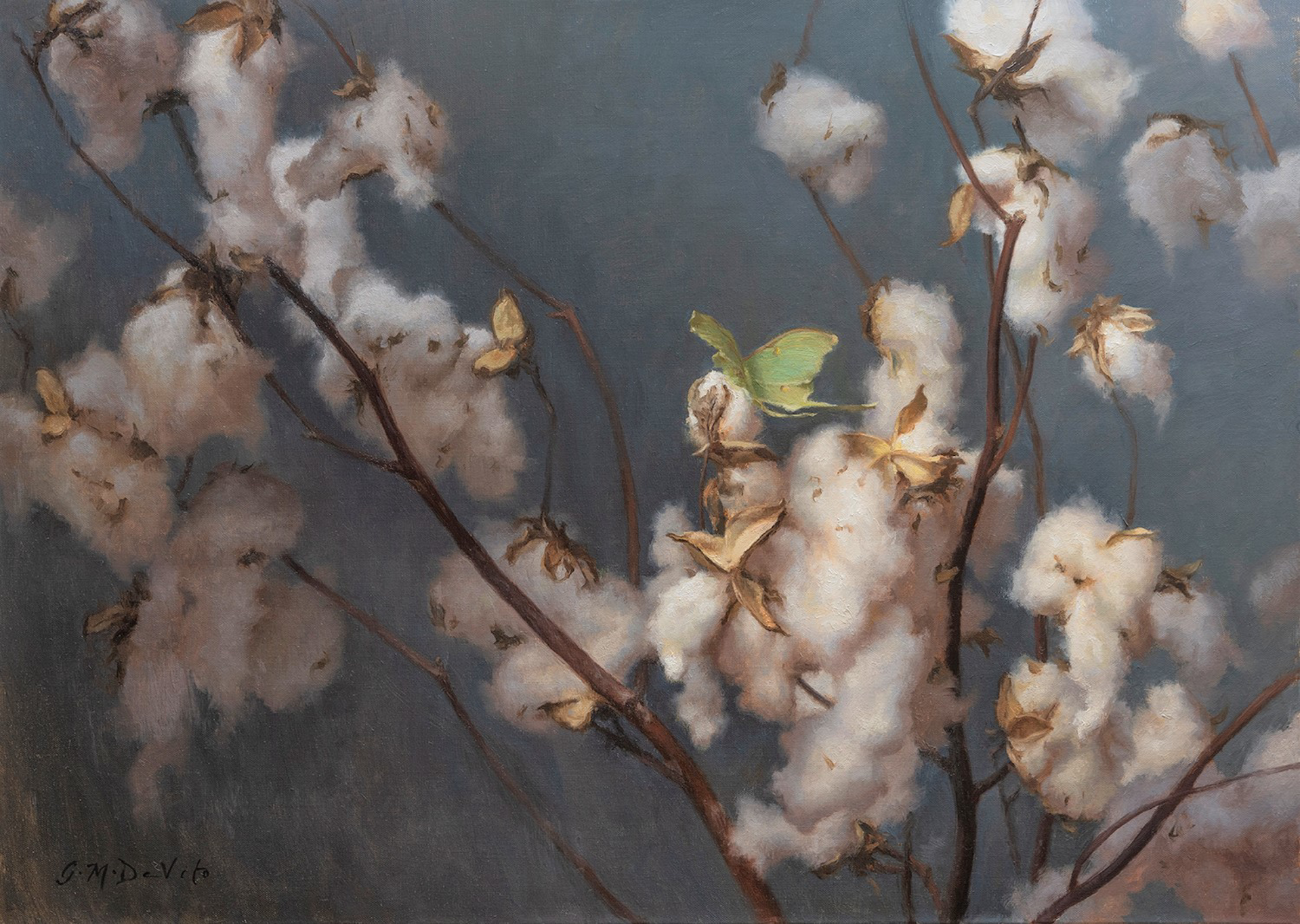 Cotton Branches and Luna Moth by Grace DeVito
