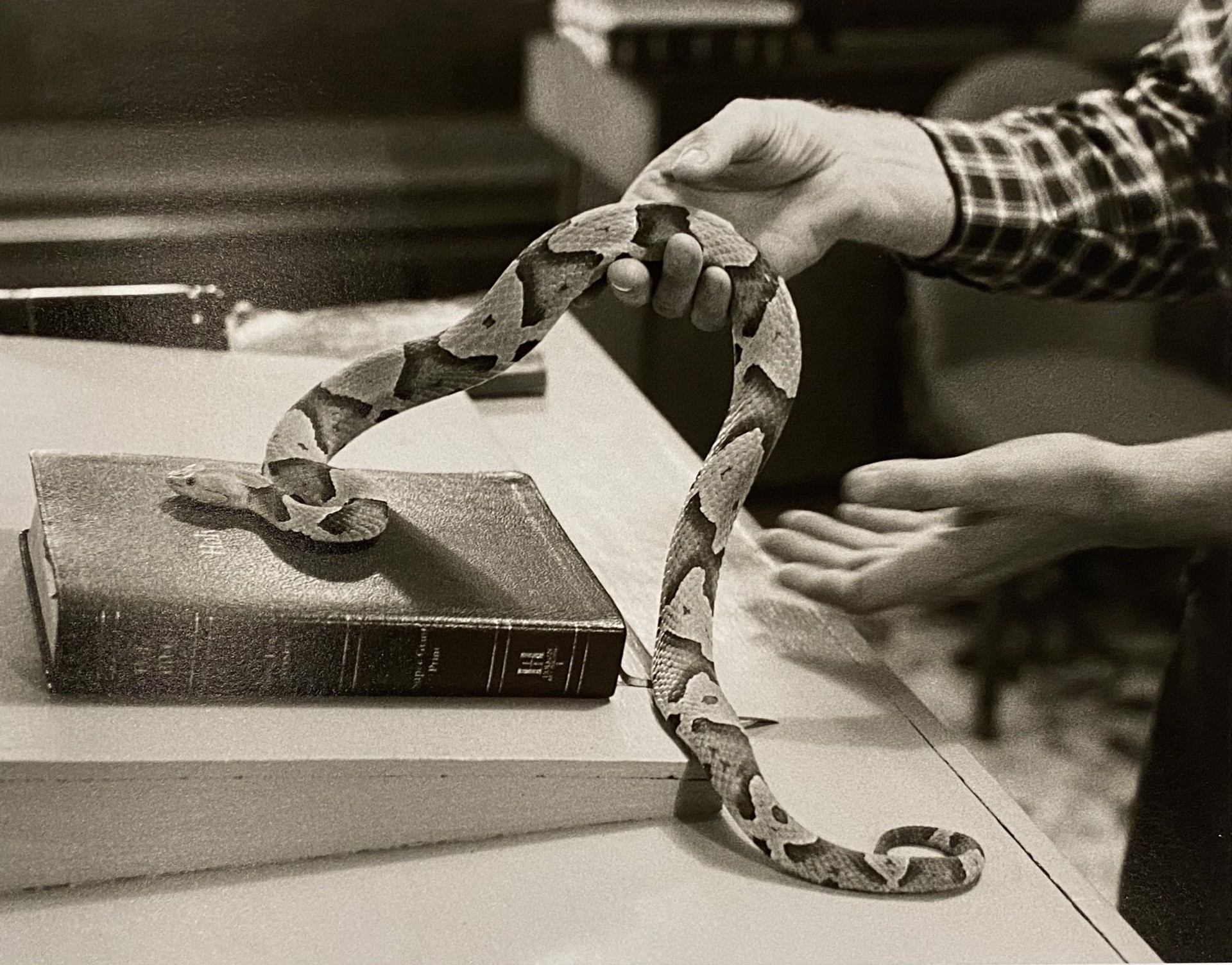 Serpent on The Bible by Don Dudenbostel