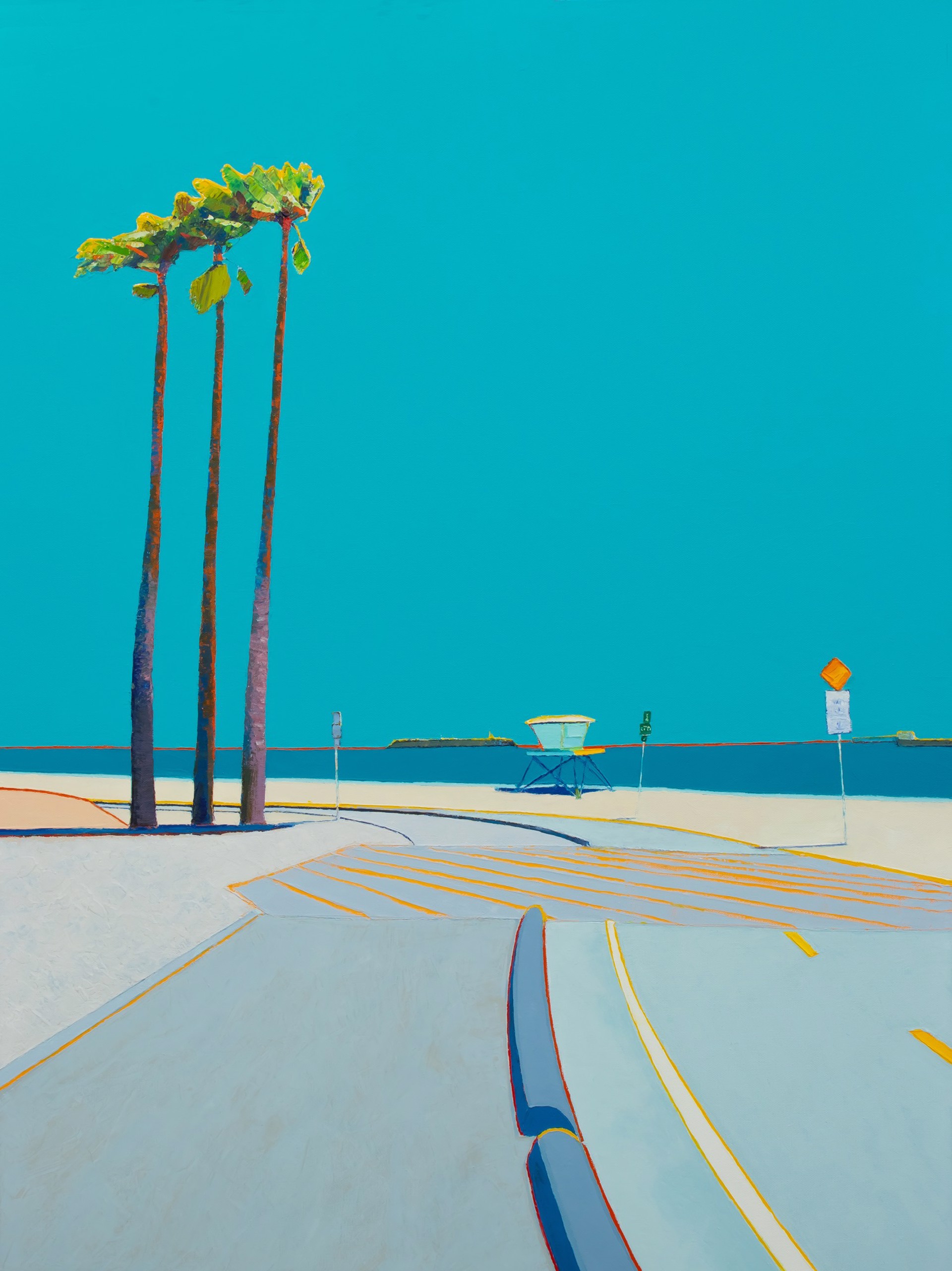 Southern California Beach by Timothy Mulligan