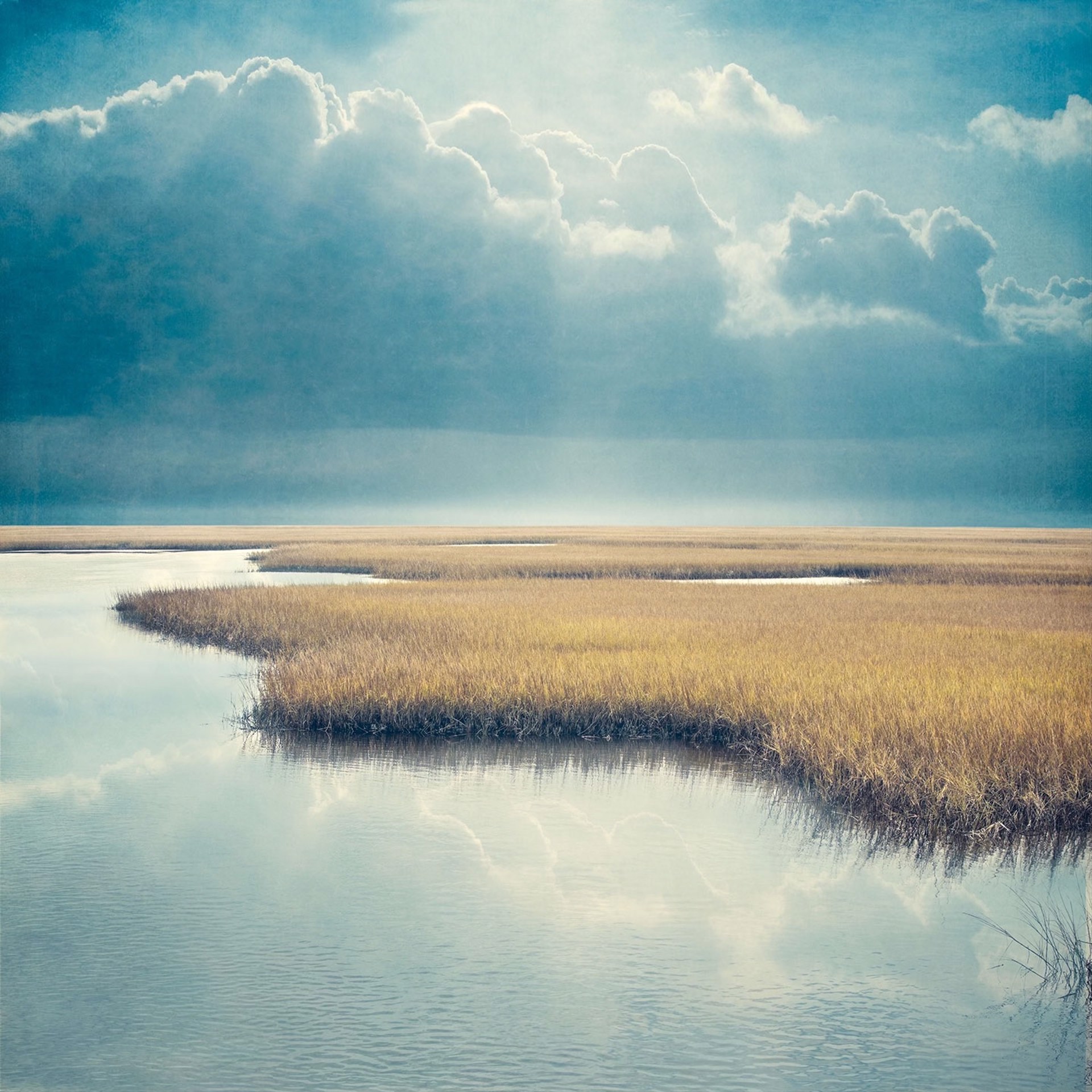 New Dawn Marsh by Thomas Hager