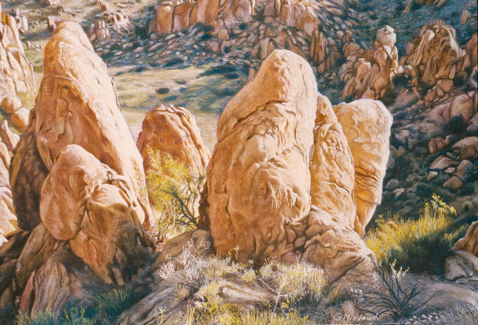 Boulders, Grapevine Hills, BBNP by Garrett Middaugh