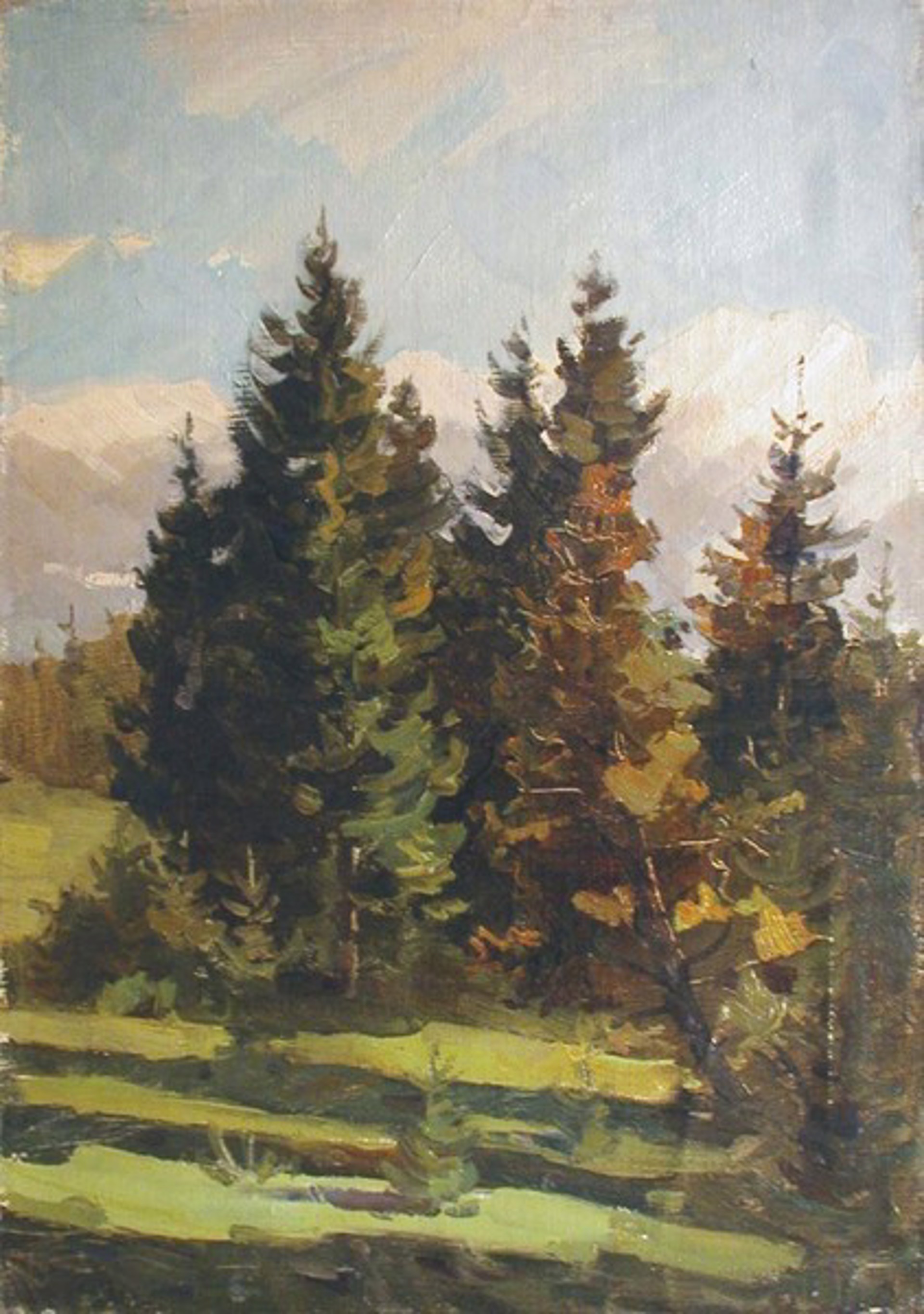 Fir Trees by Vladimir Bashmakov