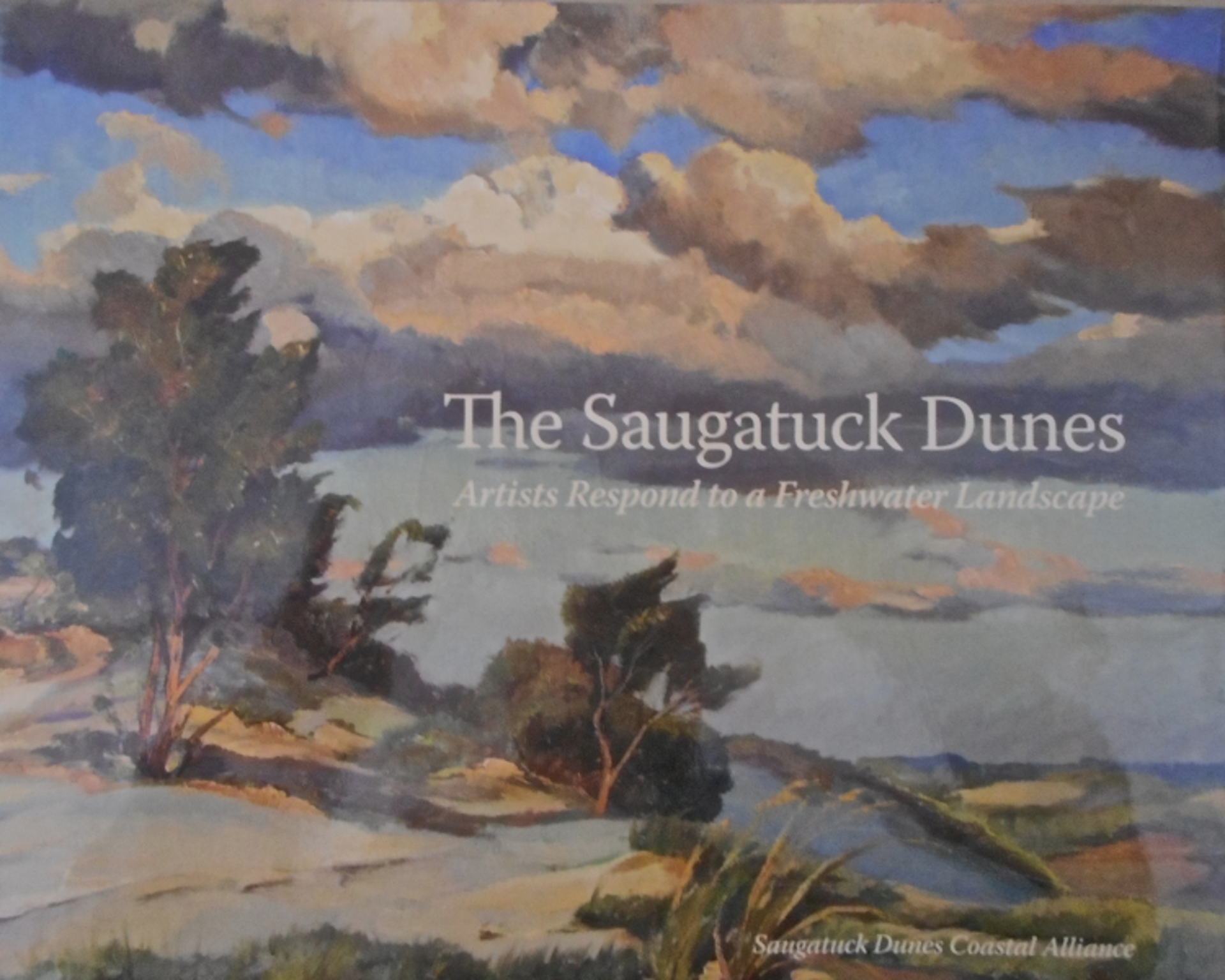 The Saugatuck Dunes