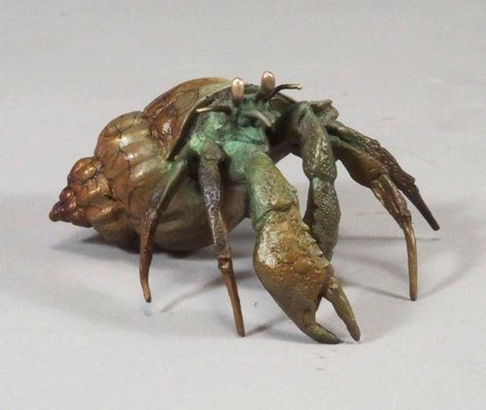 Hermit Crab by Dan Chen