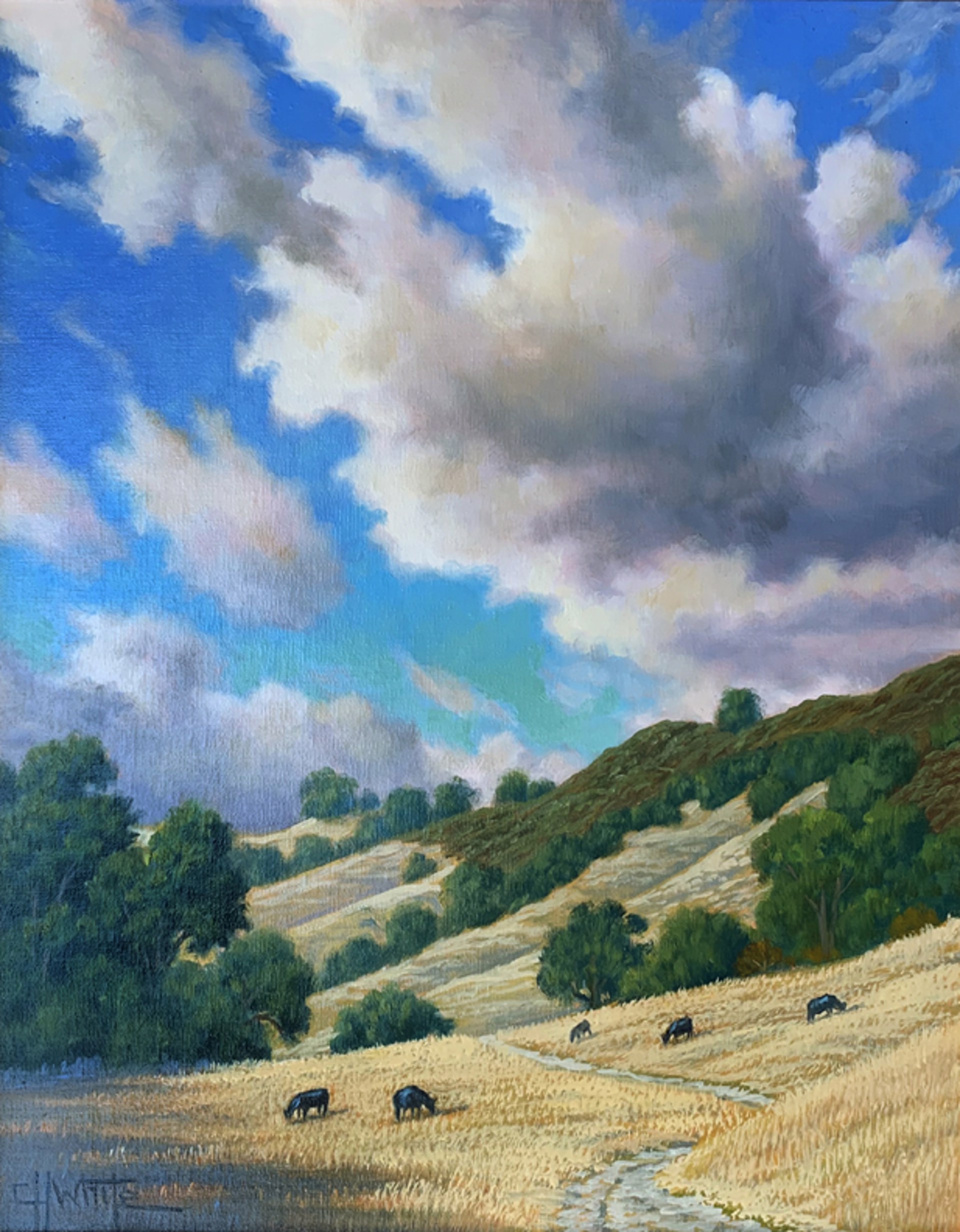Las Trampas Meadows by Charles White