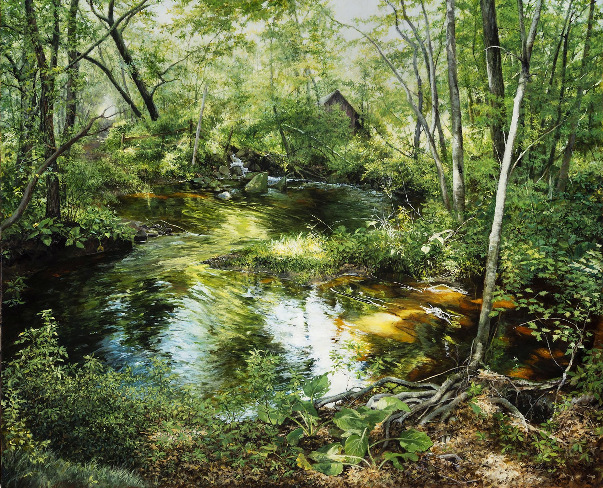 Woodland Pool by Cora Ogden