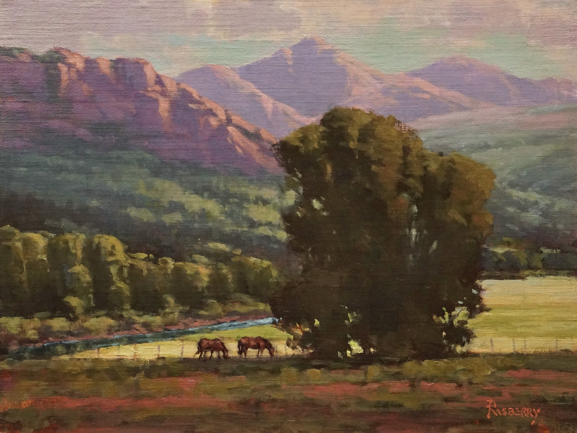 High Mountain Meadow by John Rasberry