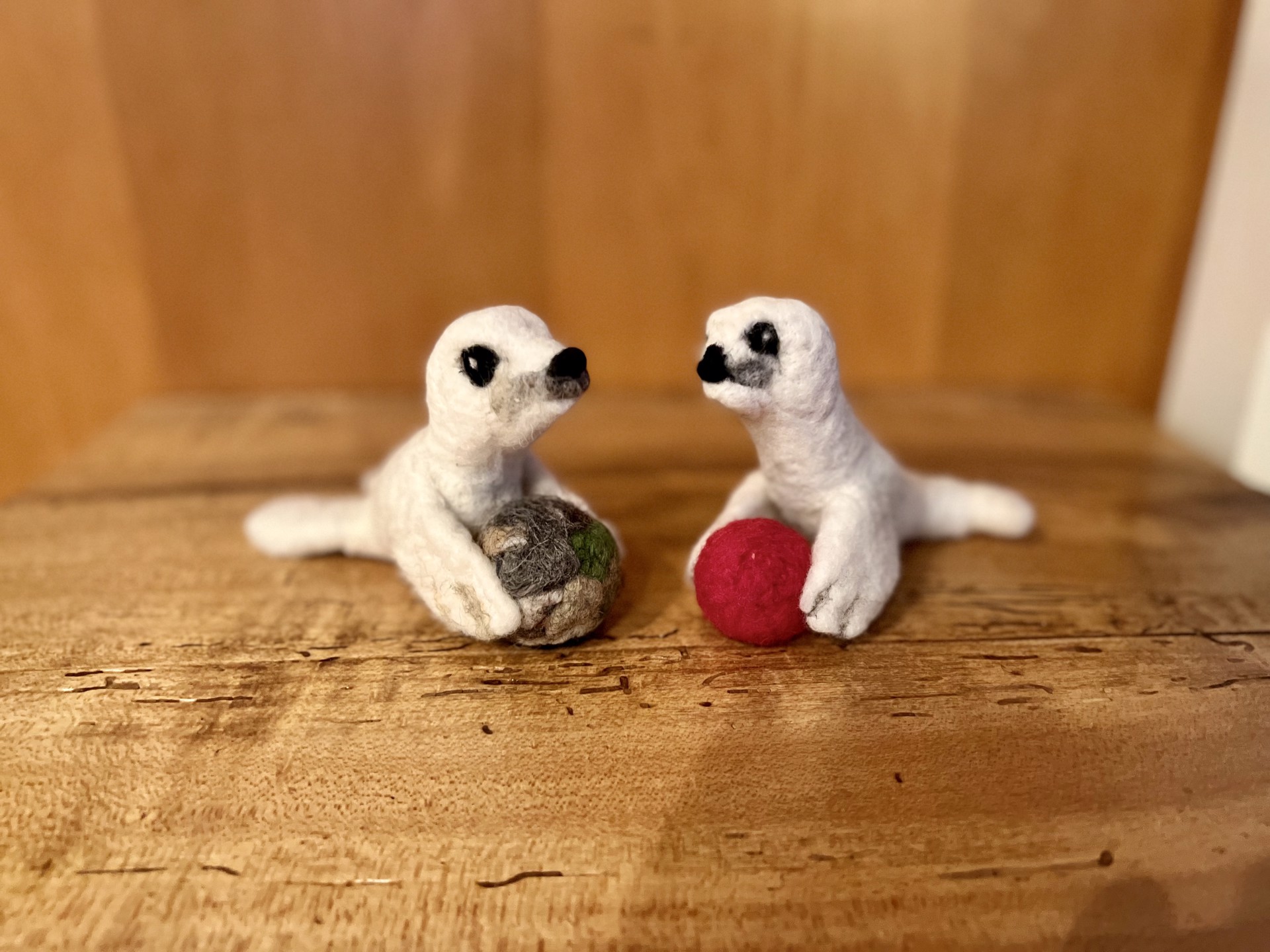 Seal with Red Ball by Barb Ottum