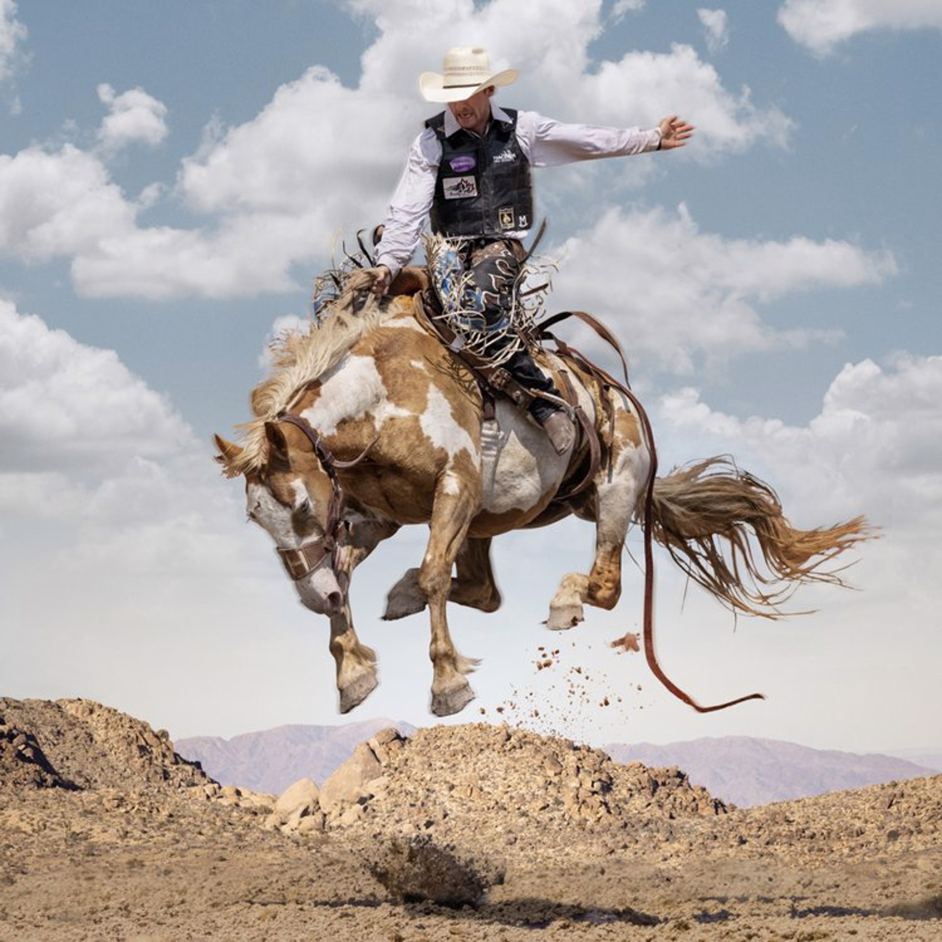 Mojave by Steve Wrubel