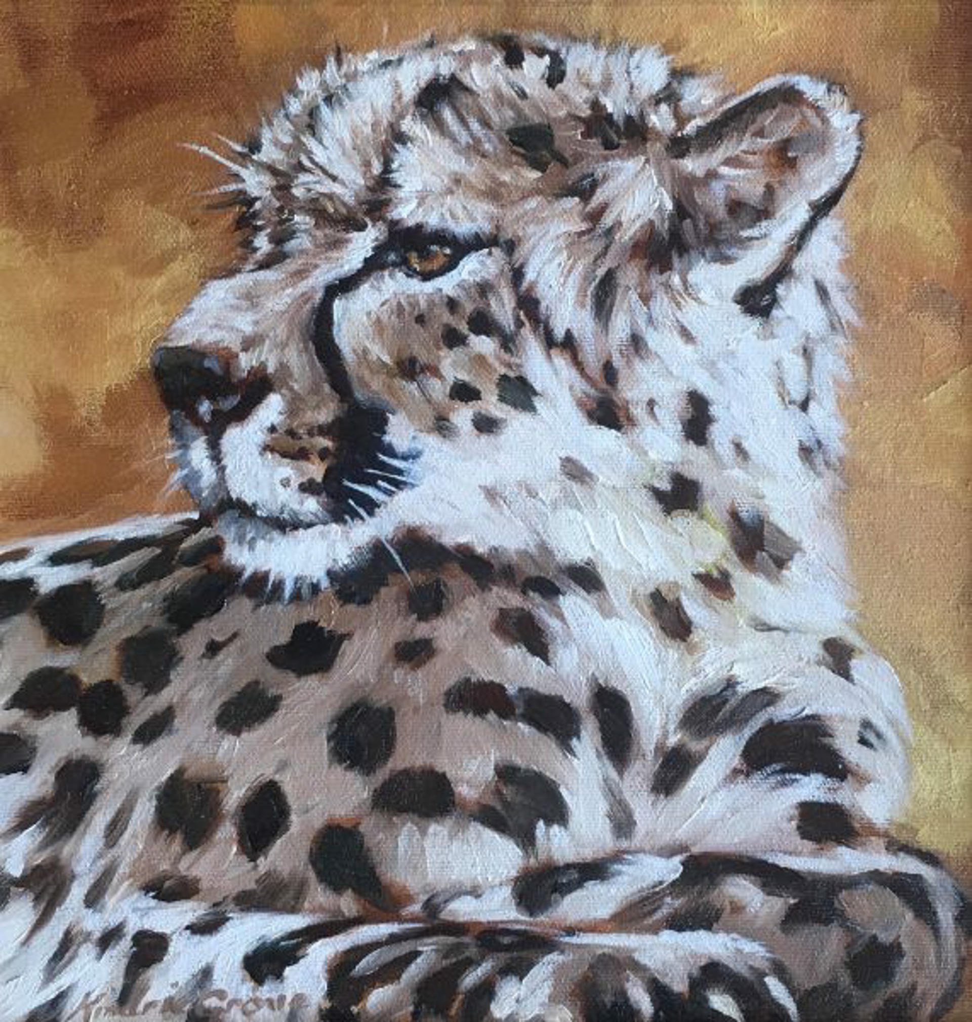 Young Cheetah - Golden Creatures by KINDRIE GROVE
