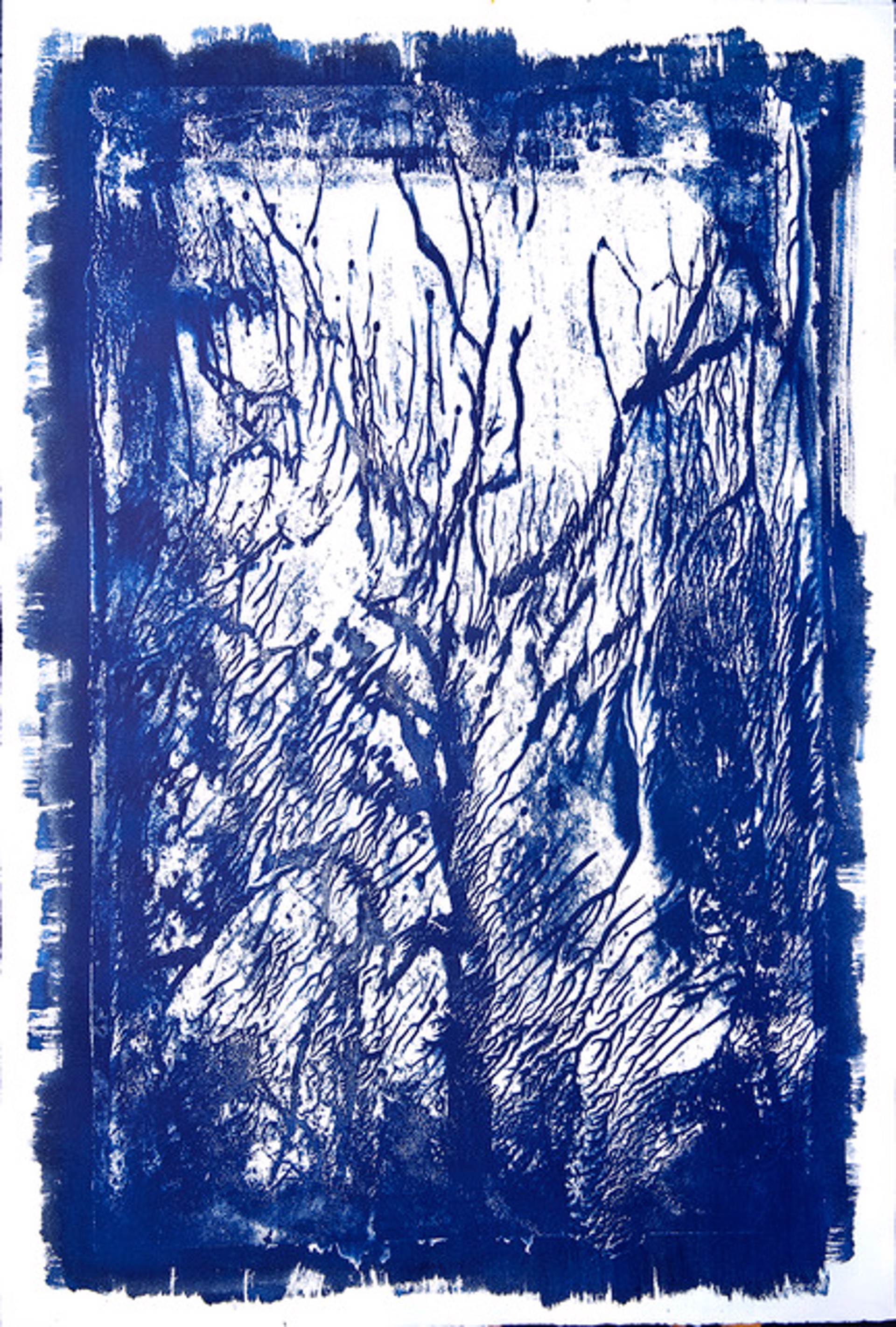 New Cyanotype Trees #2 by Michael Eastman