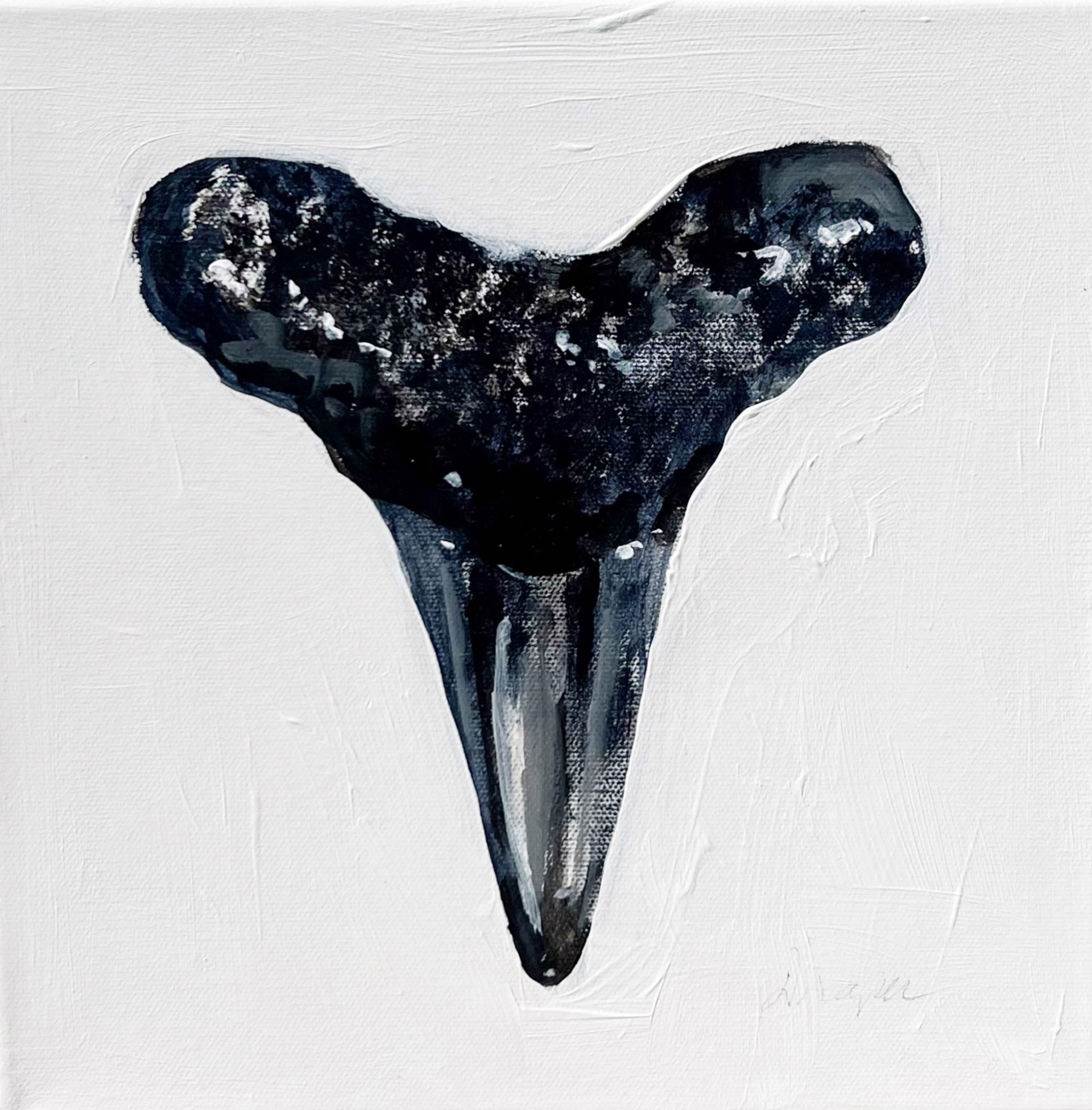 Shark Tooth No. 20 by Jim Draper