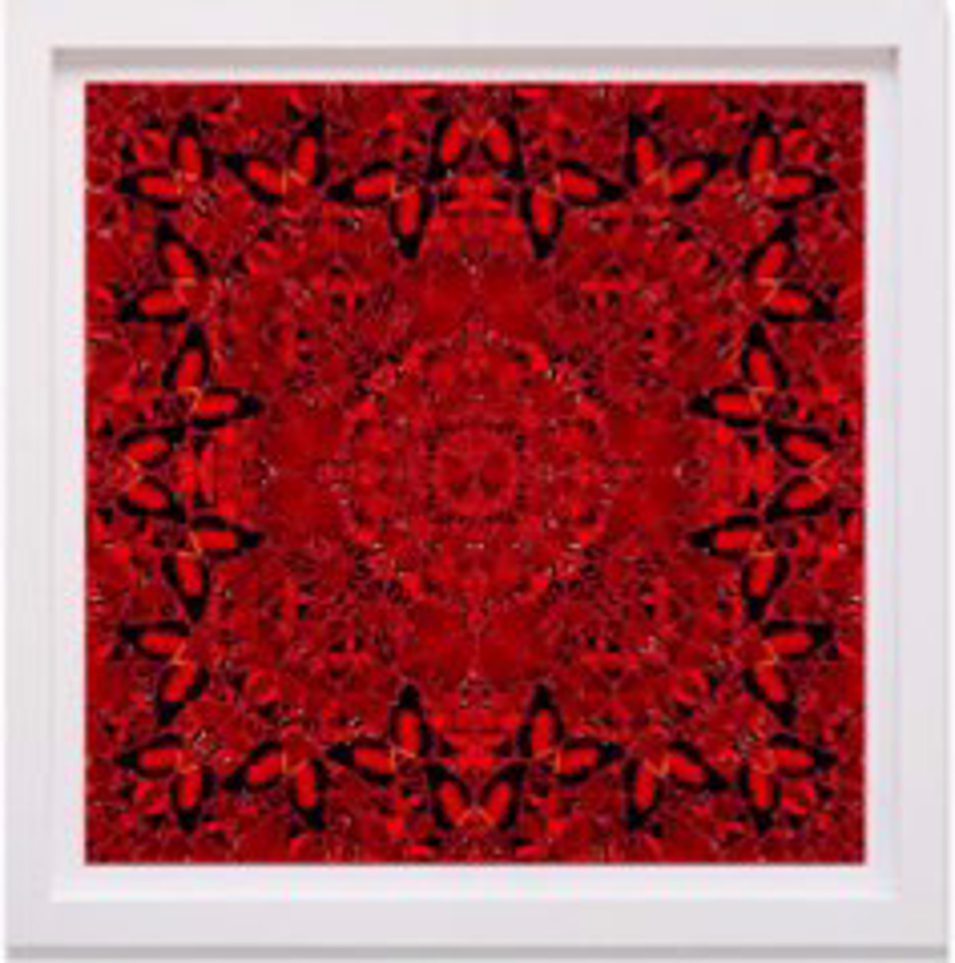 The Empresses: H10-2 Nūr Jahān by Damien Hirst