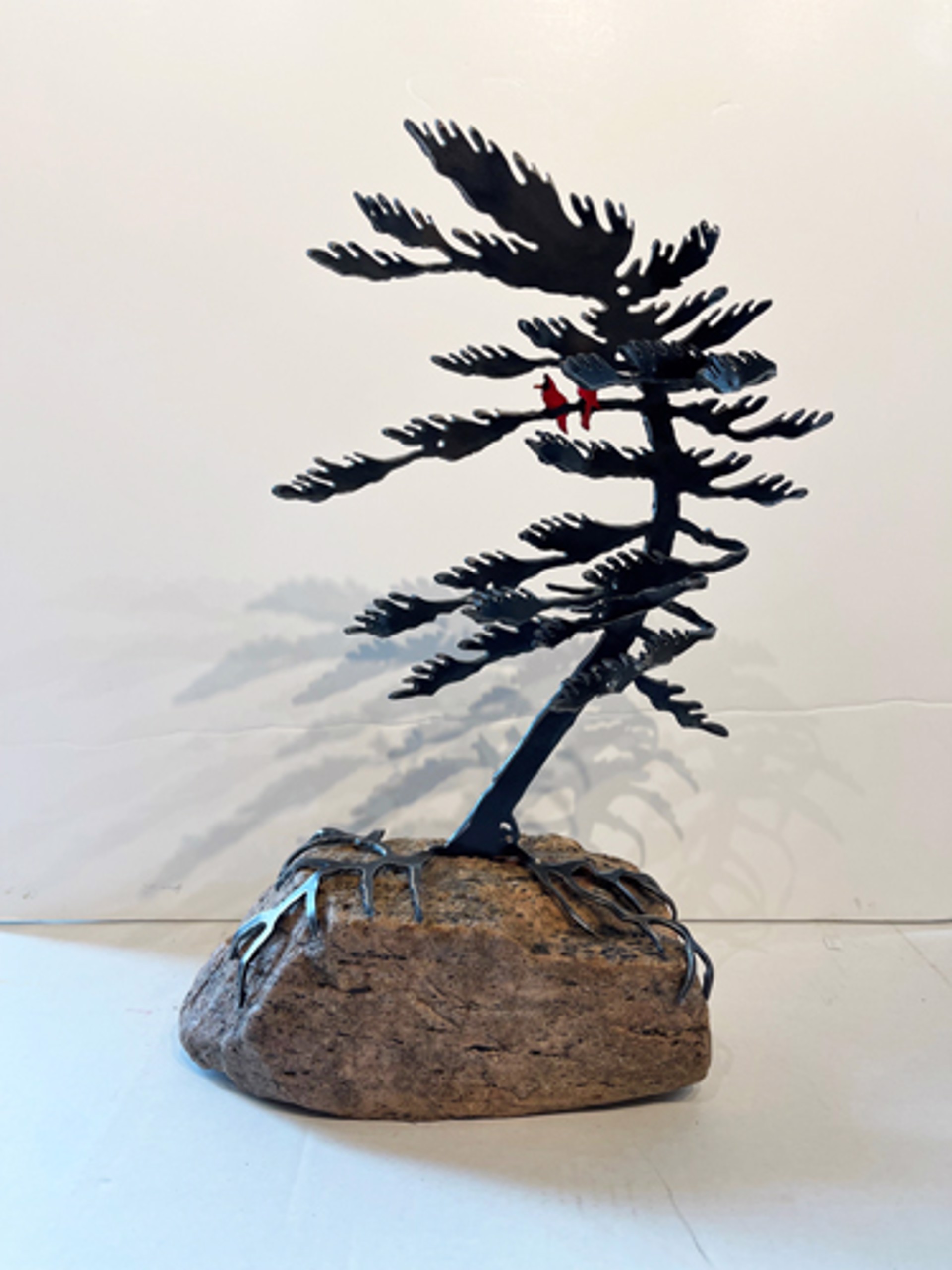 Windswept Pine 659525 by Cathy Mark