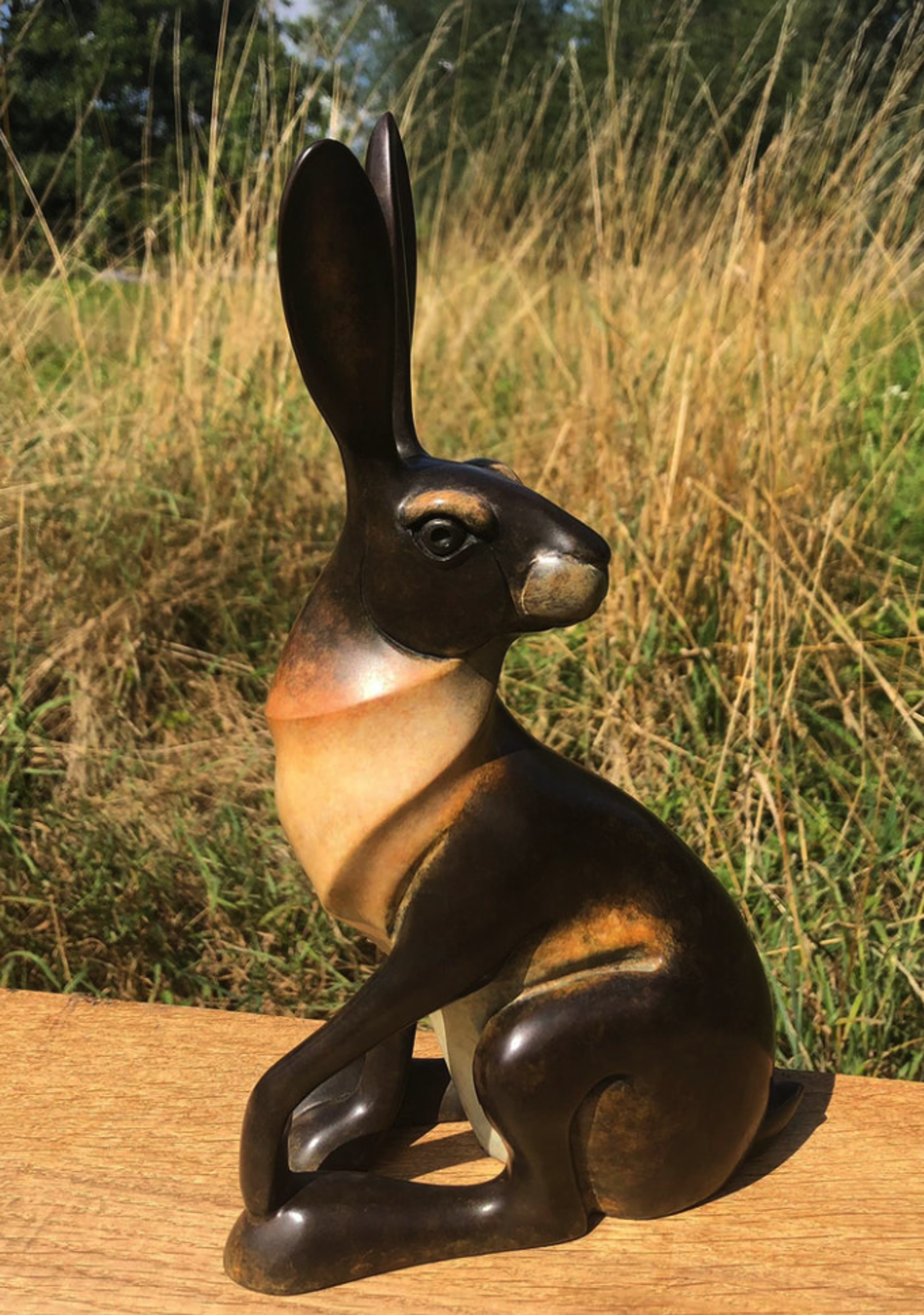 Small Sitting Hare by David Meredith