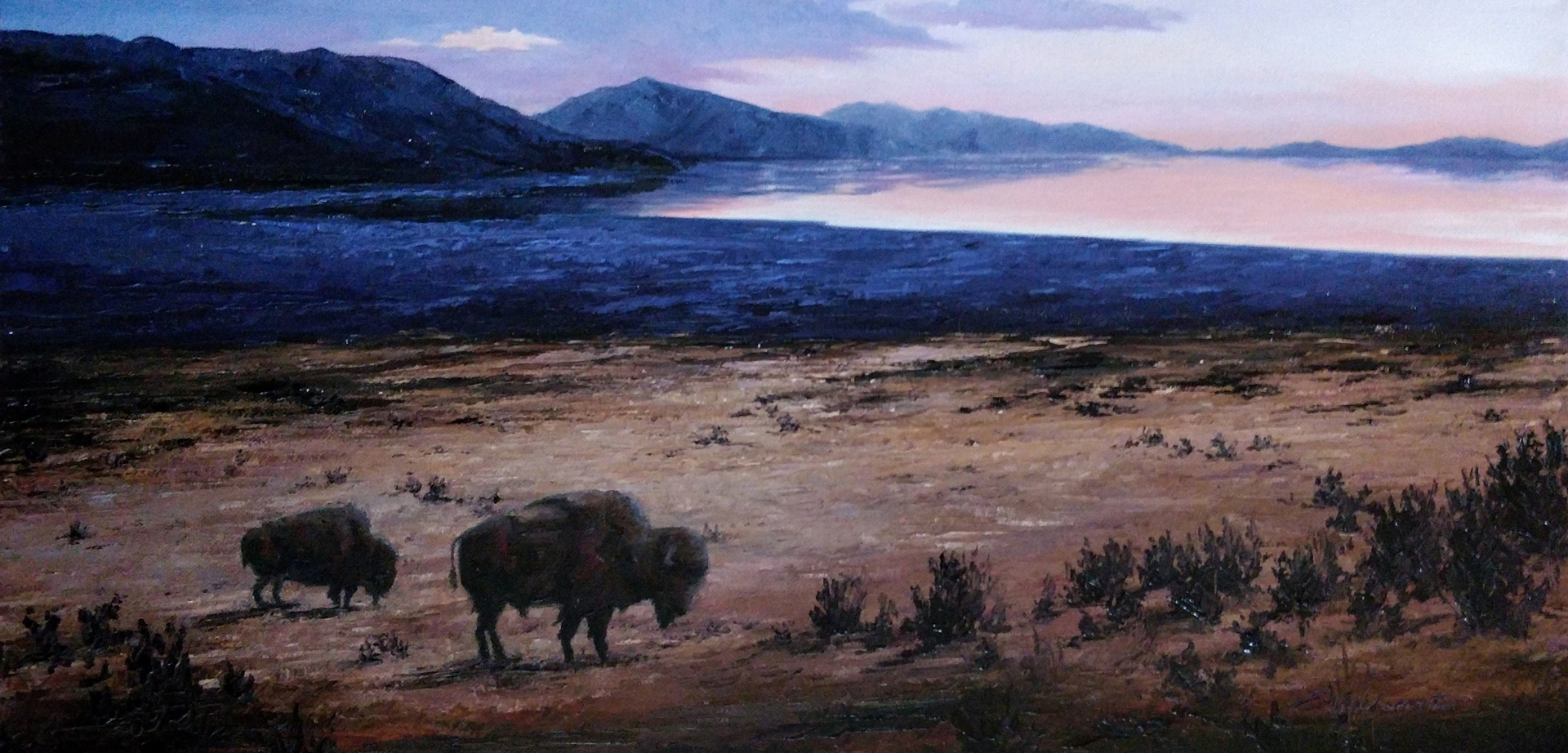 Island Buffalos by Amy Everhart