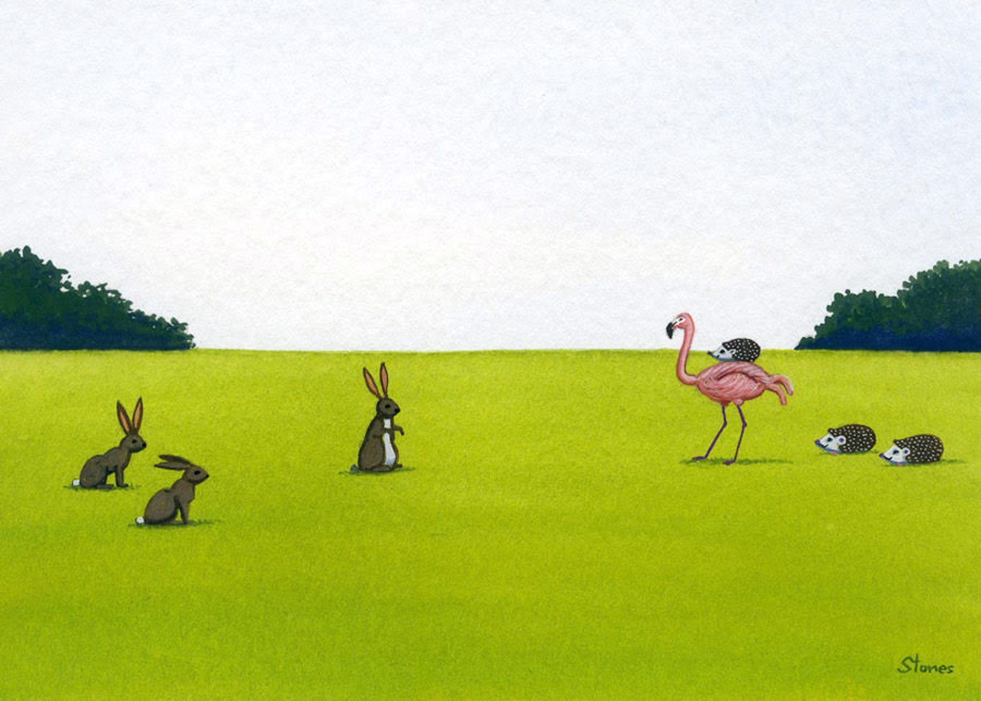 Rabbits, Hedgehogs, Flamingo by Greg Stones