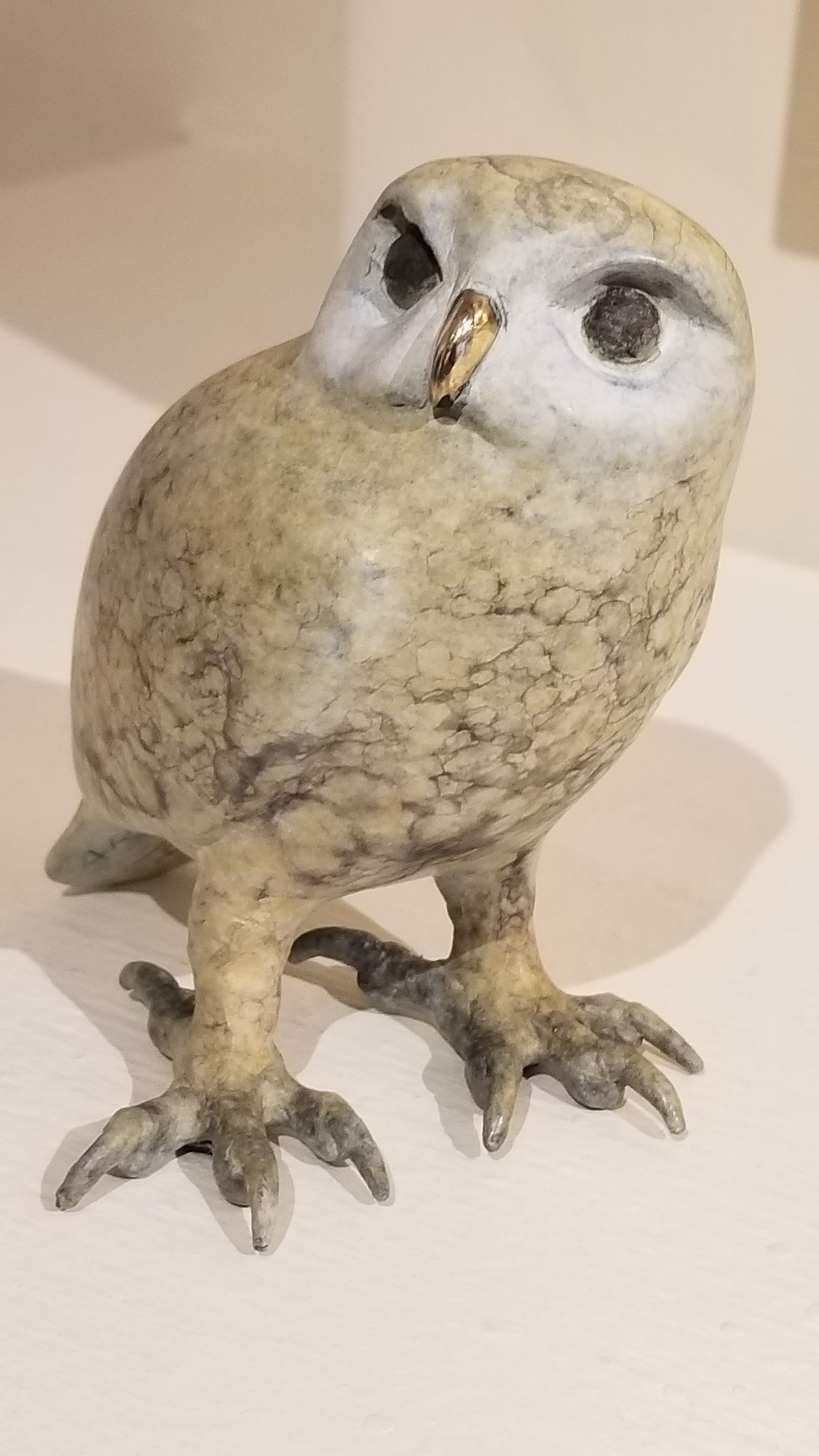 Elf Owl by Brian Arthur