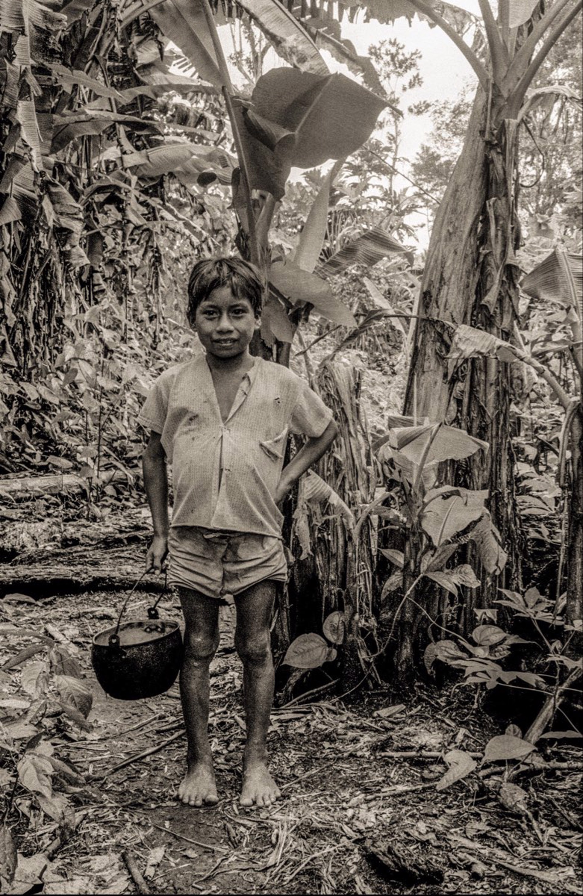 Boy in the Rainforest, Unframed (022) by Jack Dempsey