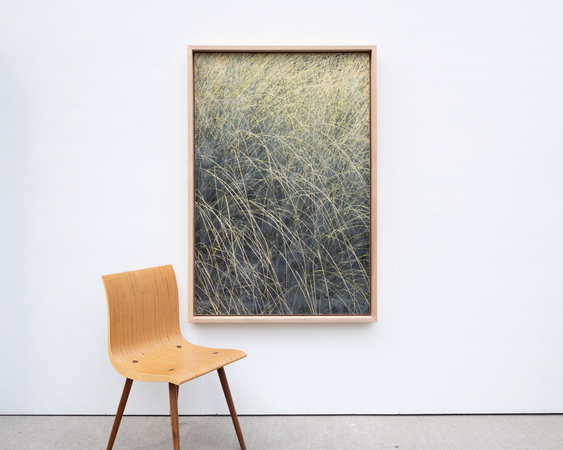 Grasses by Patrick Lajoie