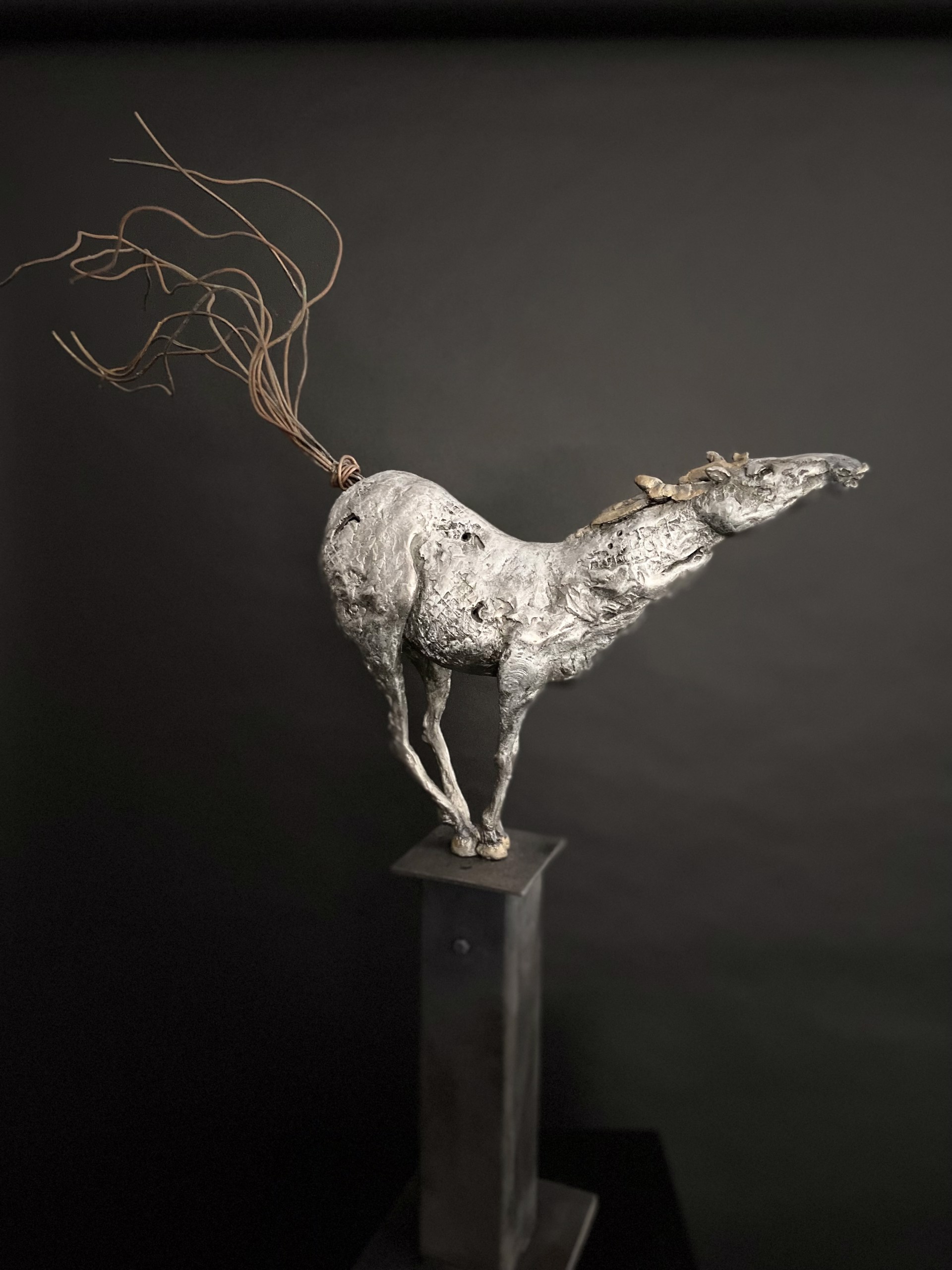 Horselaugh by Debbie Korbel