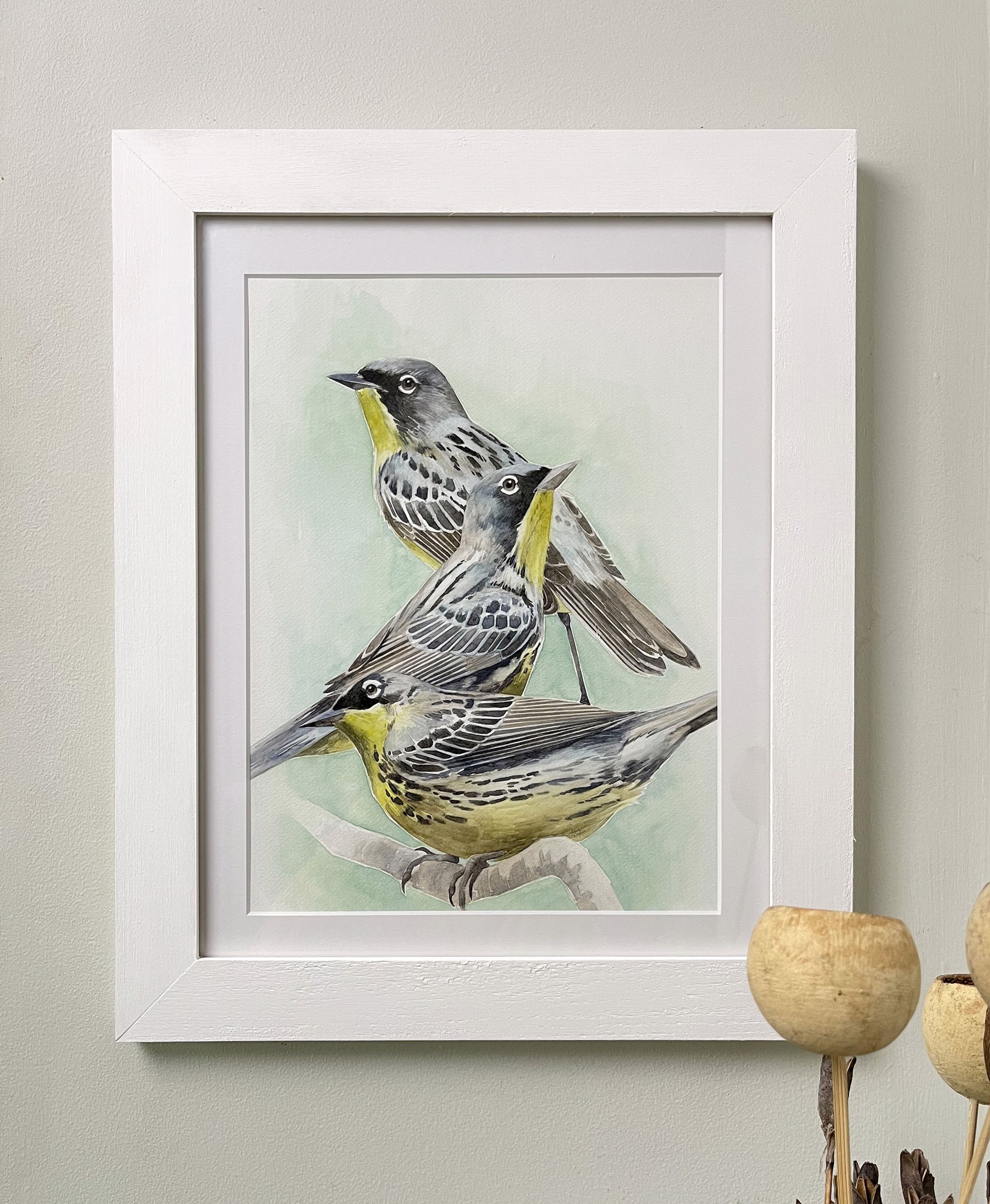 On the Journey to Jack Pine (Kirtlands Warblers) by Amy Shawley