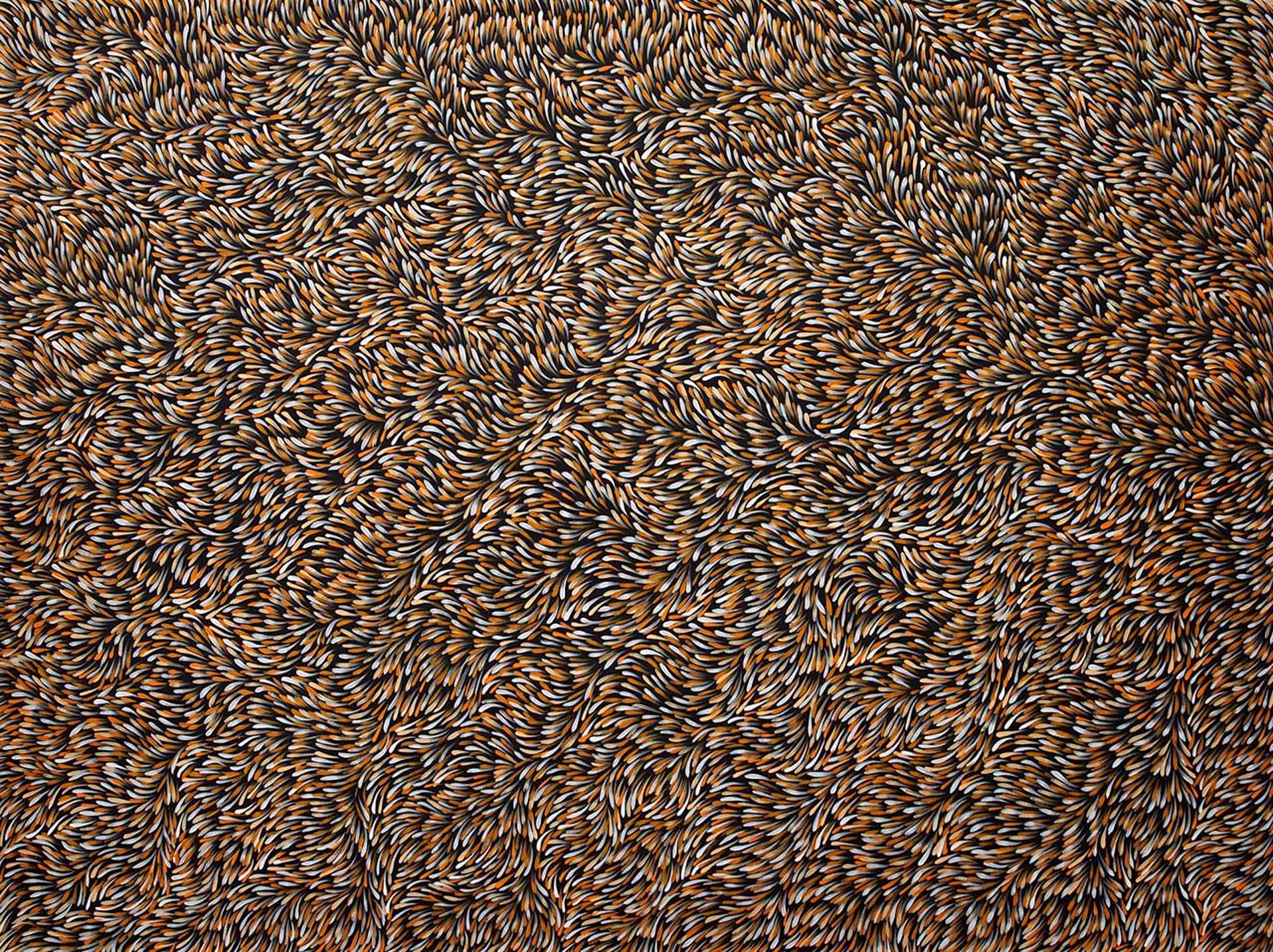 Bush Medicine Leaves by Gloria Petyarre