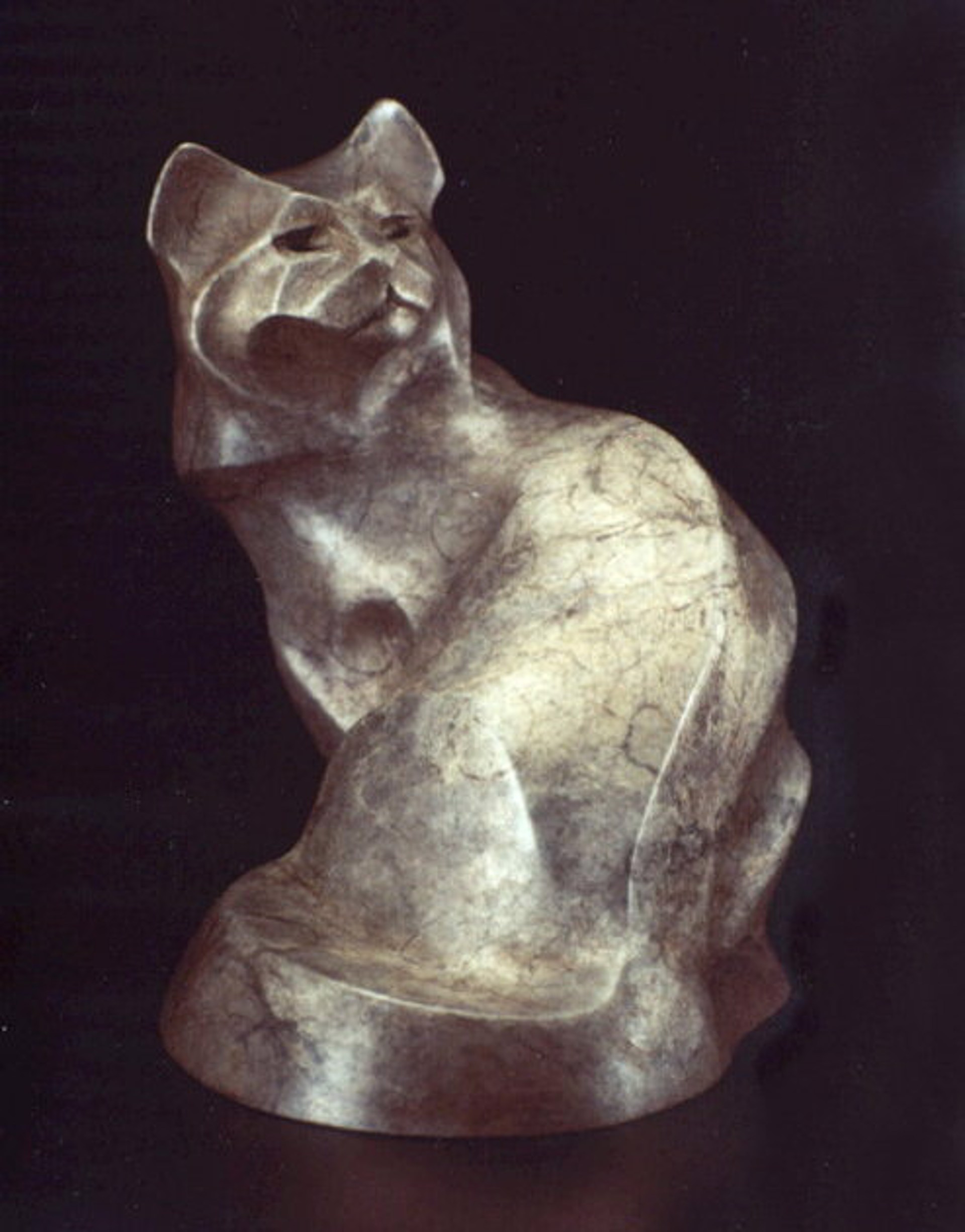 Miniature Cat - Jasper by Rosetta