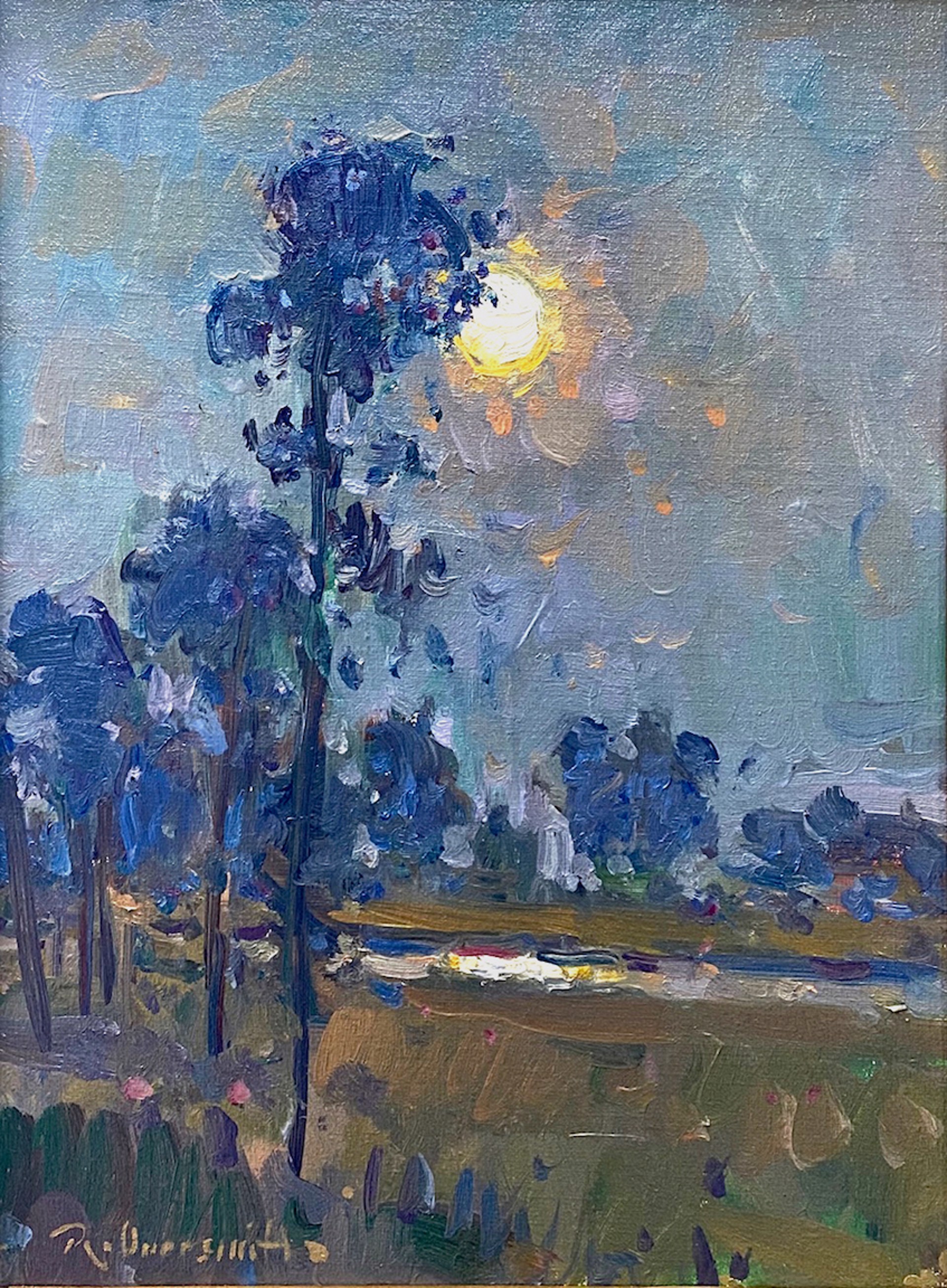 Lowcountry Moon by Richard Oversmith