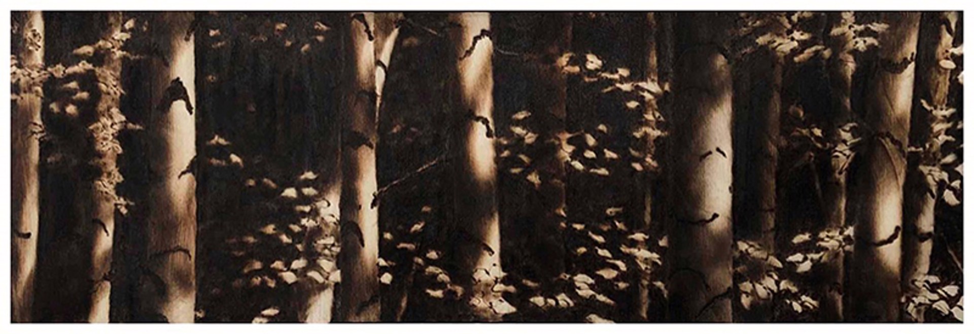 Amongst the Birches #2 by Paul Chojnowski