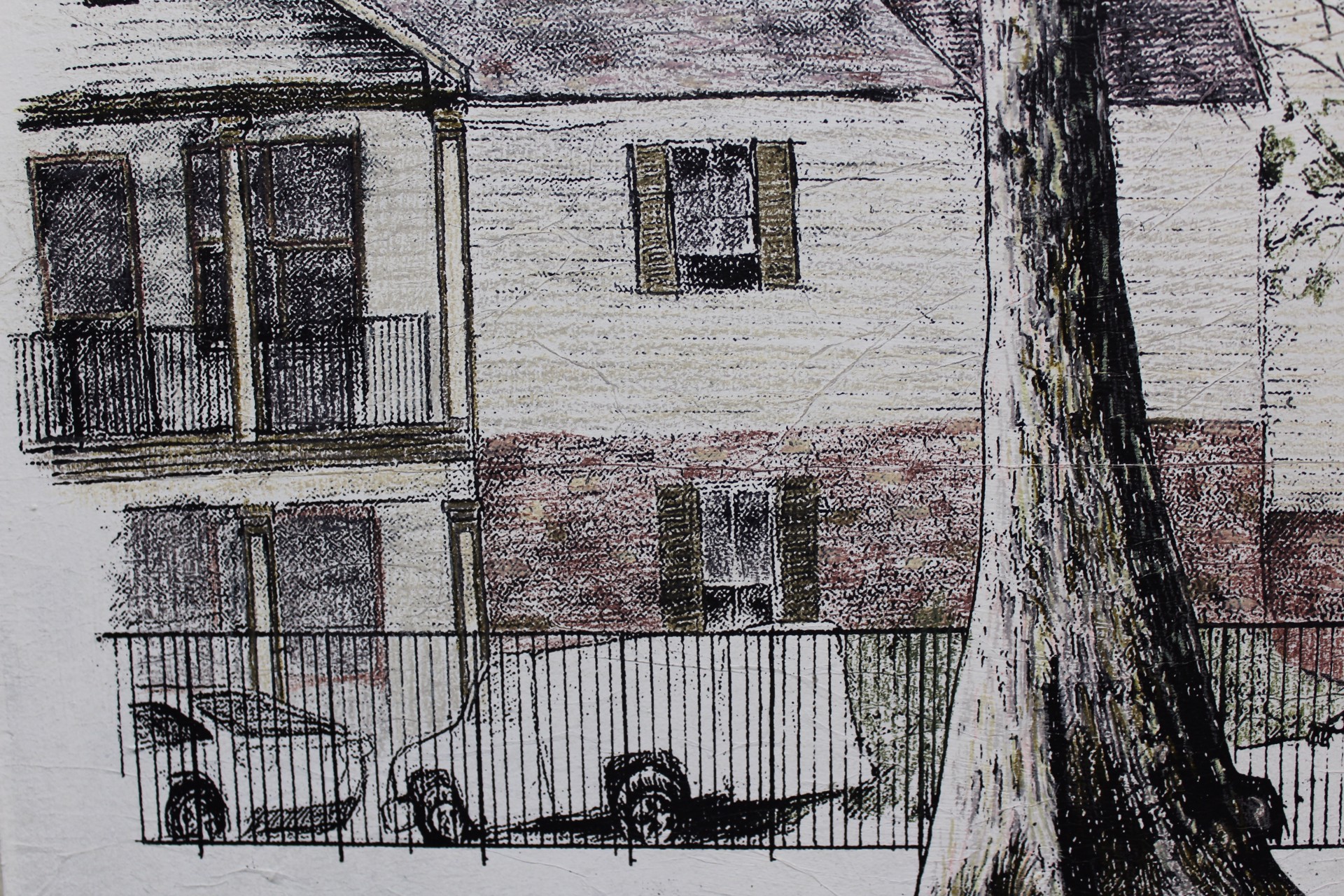 Chalmette Apartment Bald Eagle Nest 1 by Pippin Frisbie-Calder
