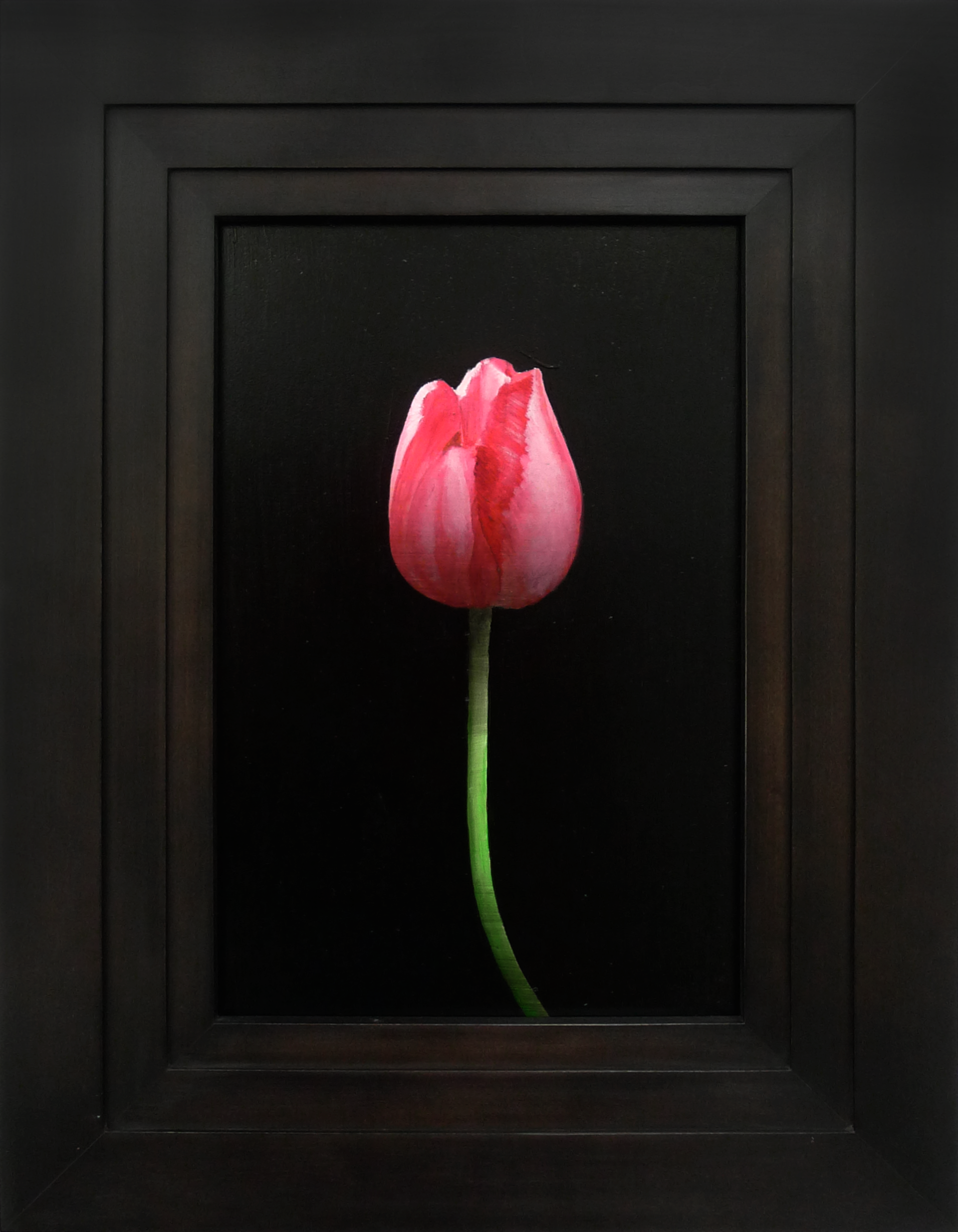Pink Tulip by Michael Gregory