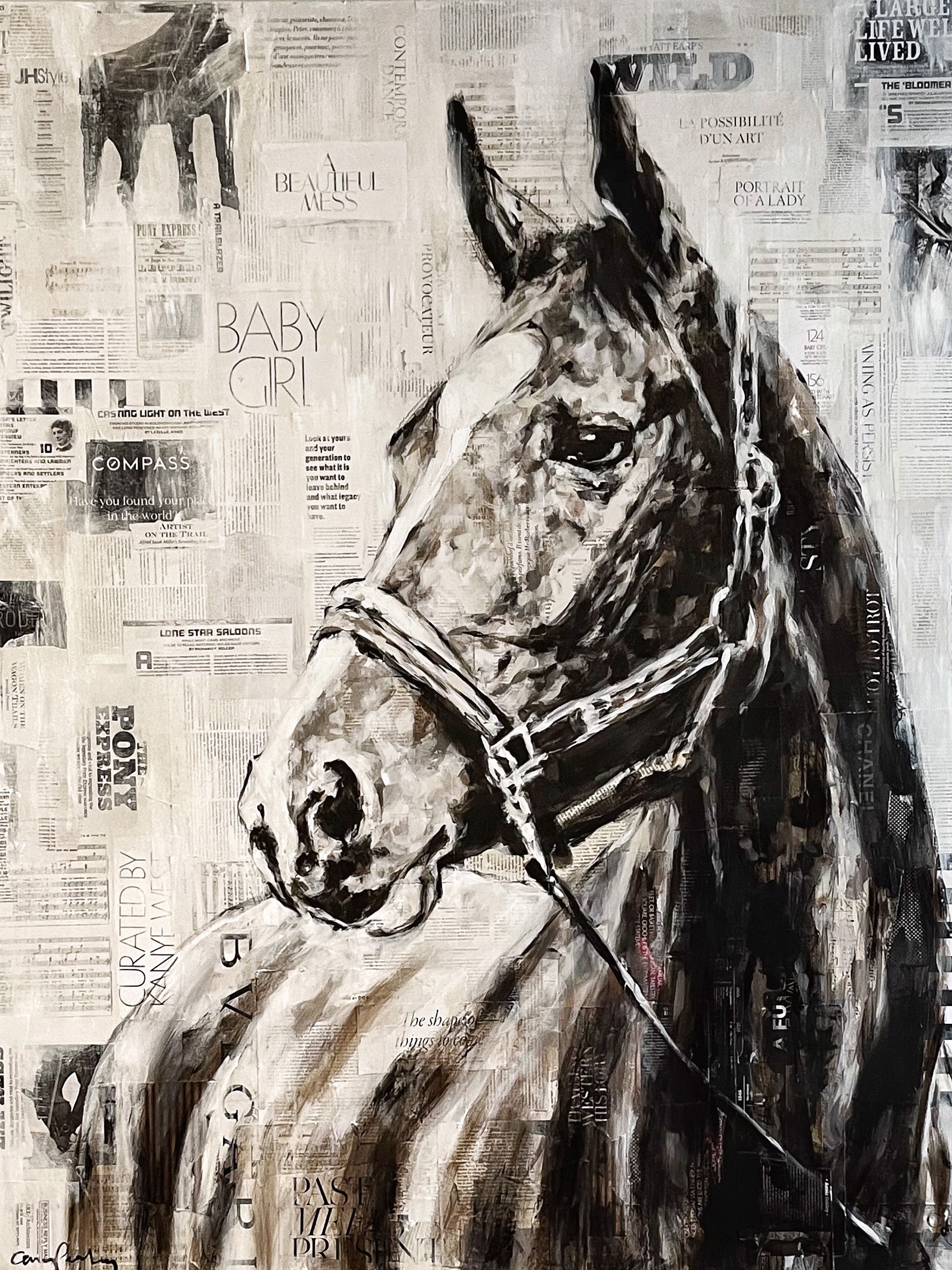 Horse In Halter On Collaged Printed Paper With Acrylic, Monochromatic by Carrie Penley At Gallery Wild