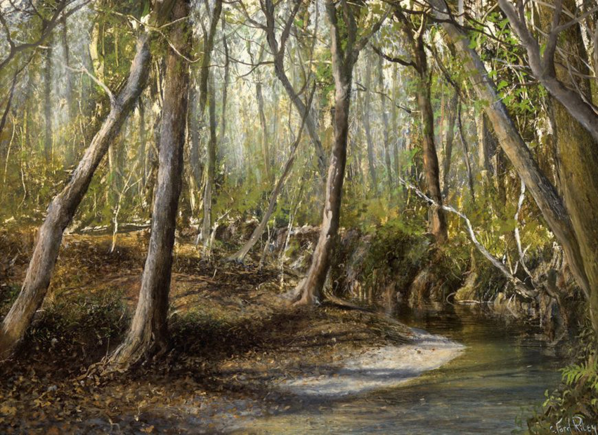 Hadley Creek by C. Ford Riley
