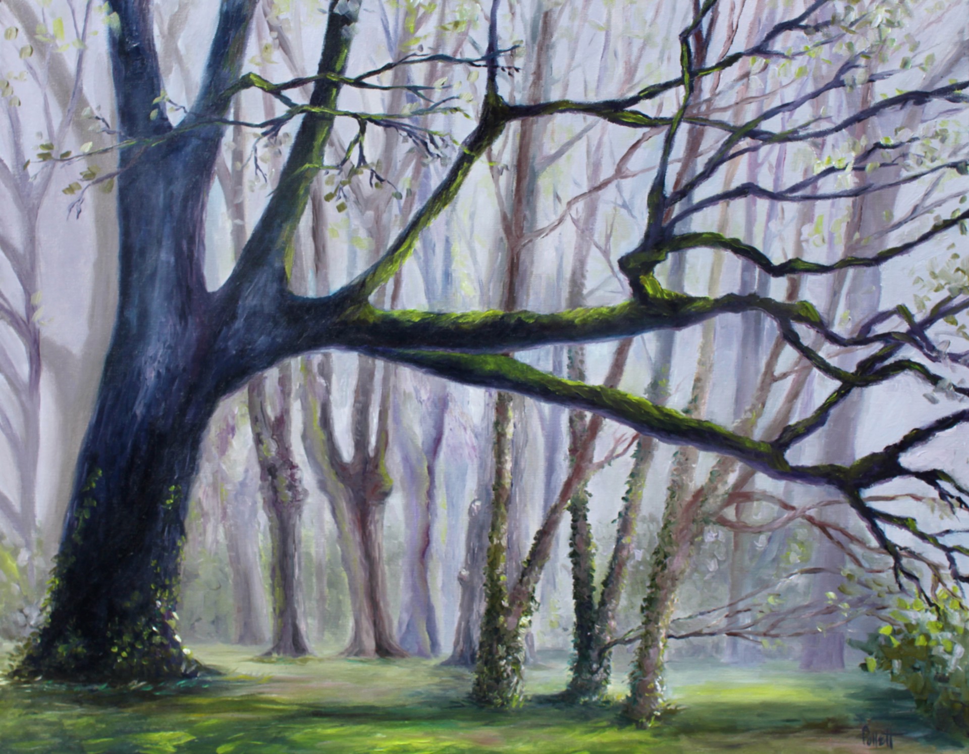 If Only I Had a Swing by Cynthia Jewell Pollett