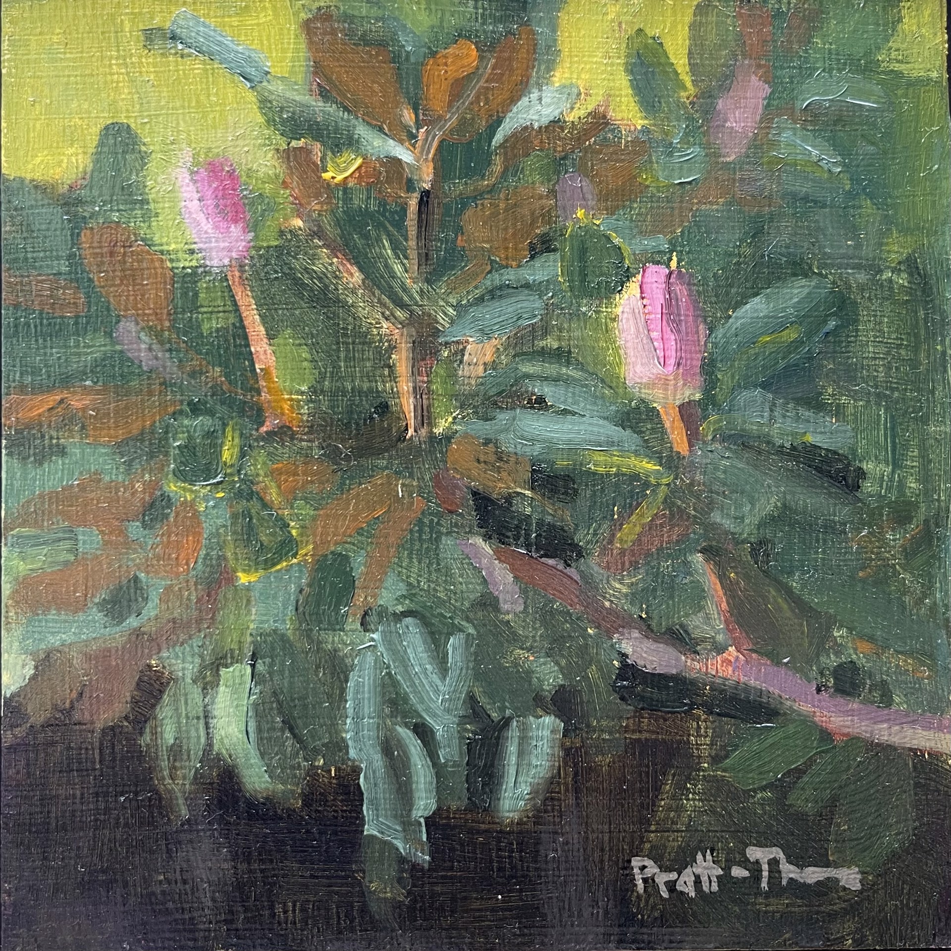 Magnolia Pods by Leslie Pratt-Thomas